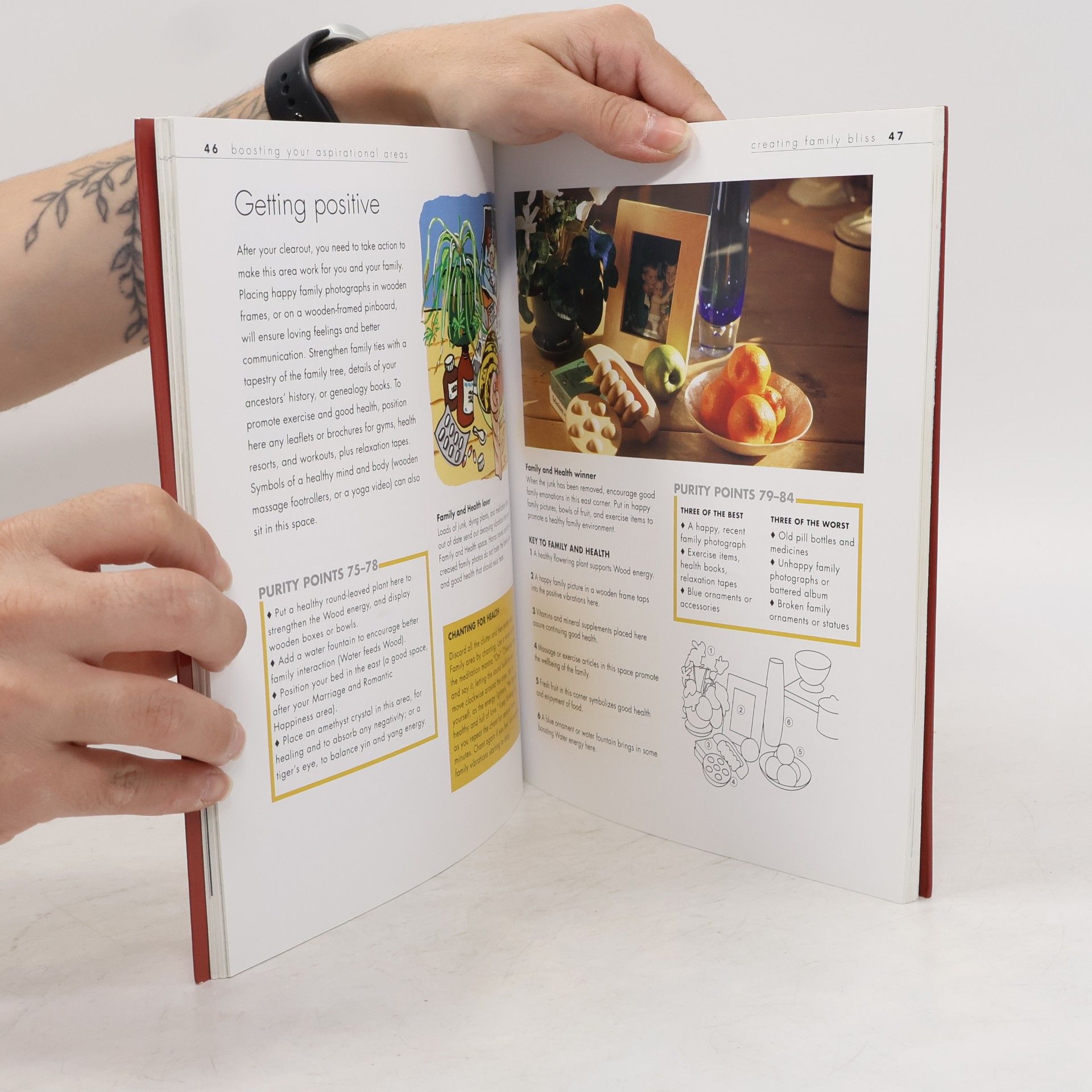 Mary Lambert Feng Shui Guide to Harmonious Living