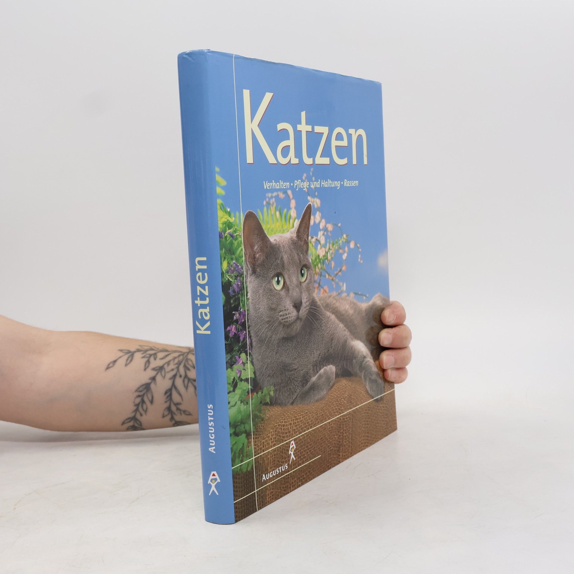 Claire Bessant Katzen