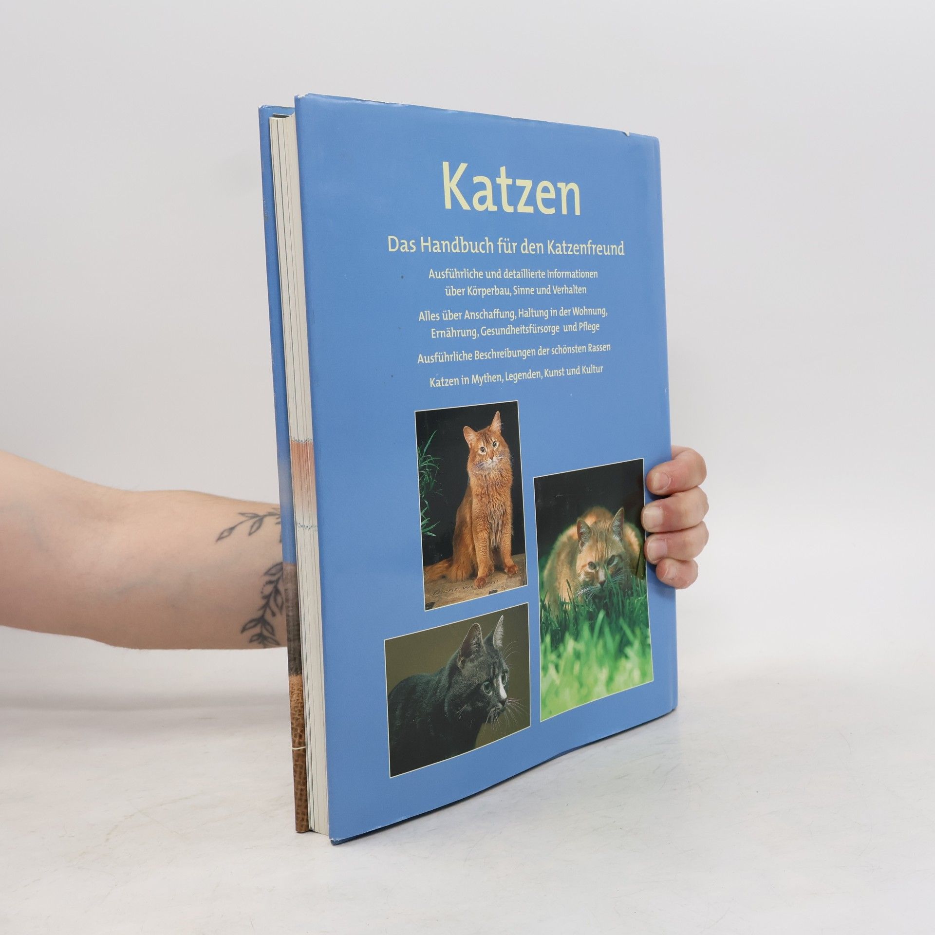 Claire Bessant Katzen