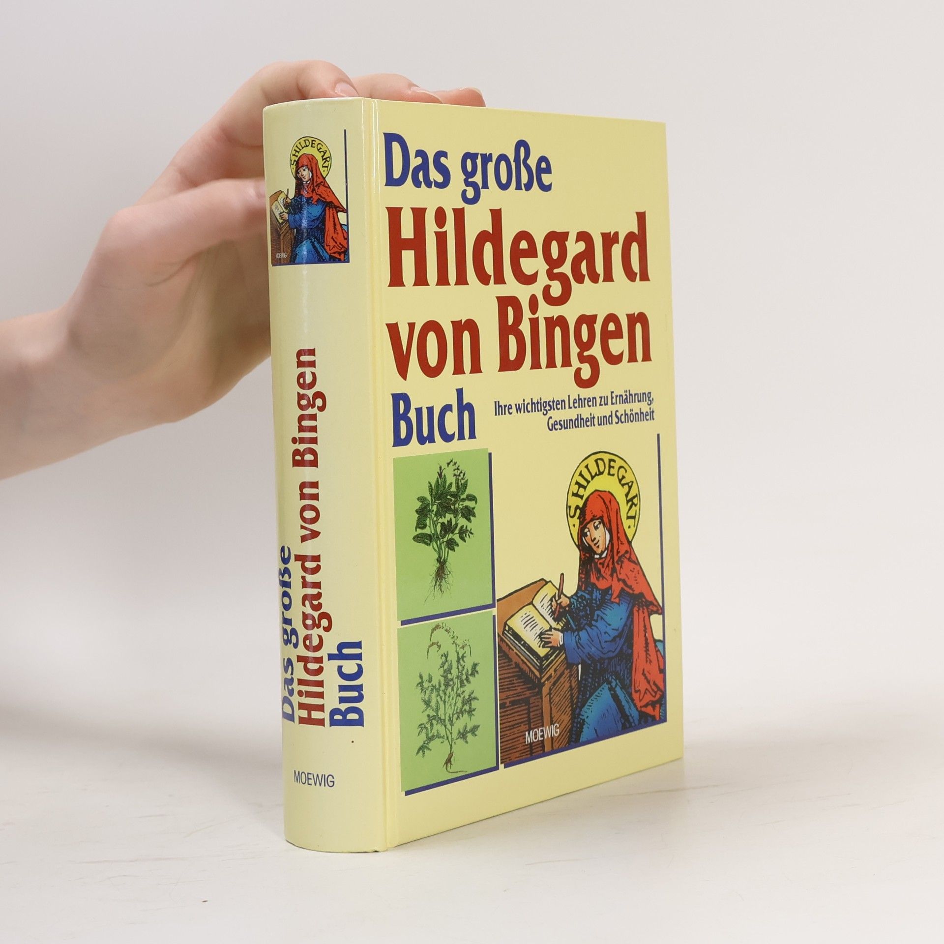Heidelore Kluge Das große Hildegard-von-Bingen-Buch