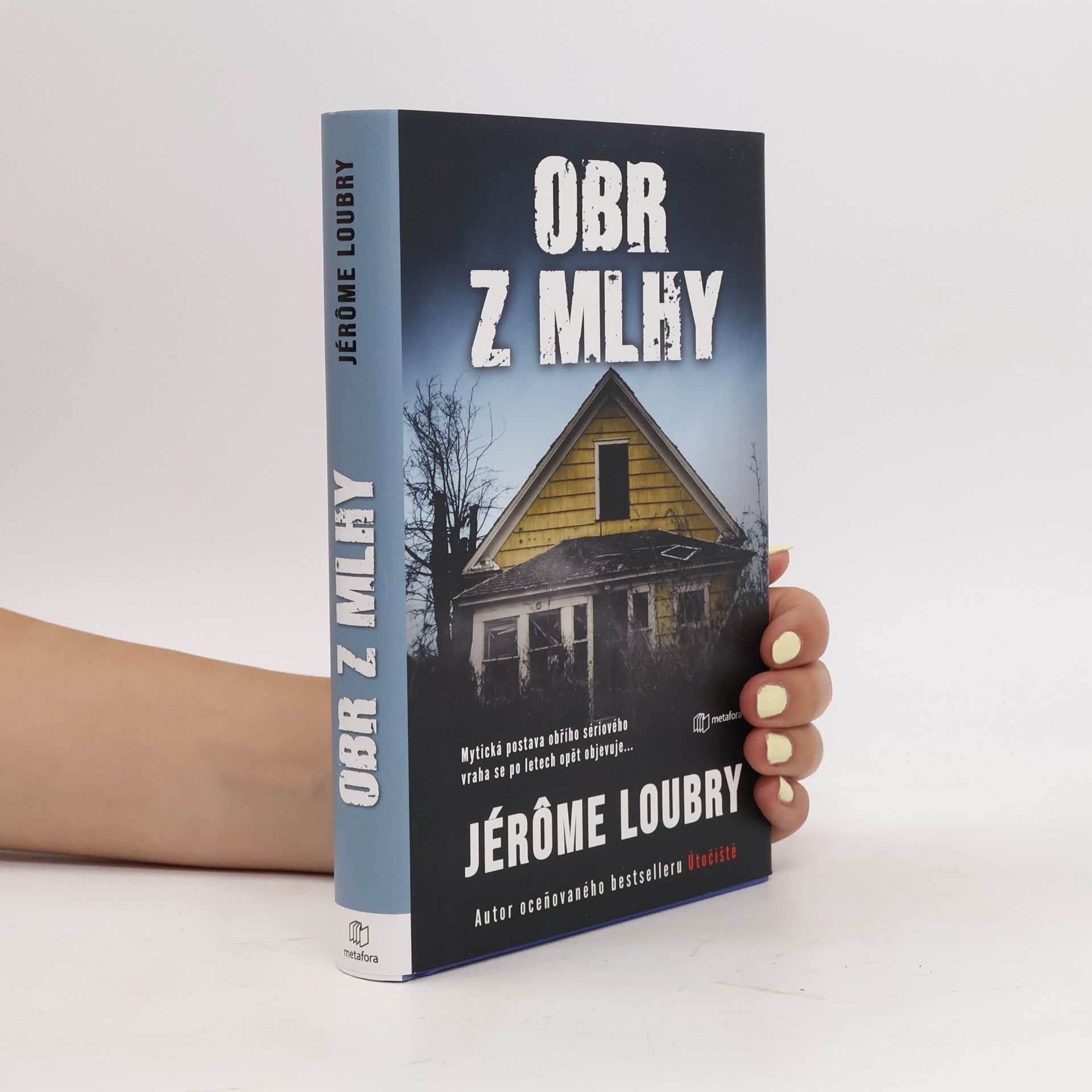 Jérôme Loubry Obr z mlhy