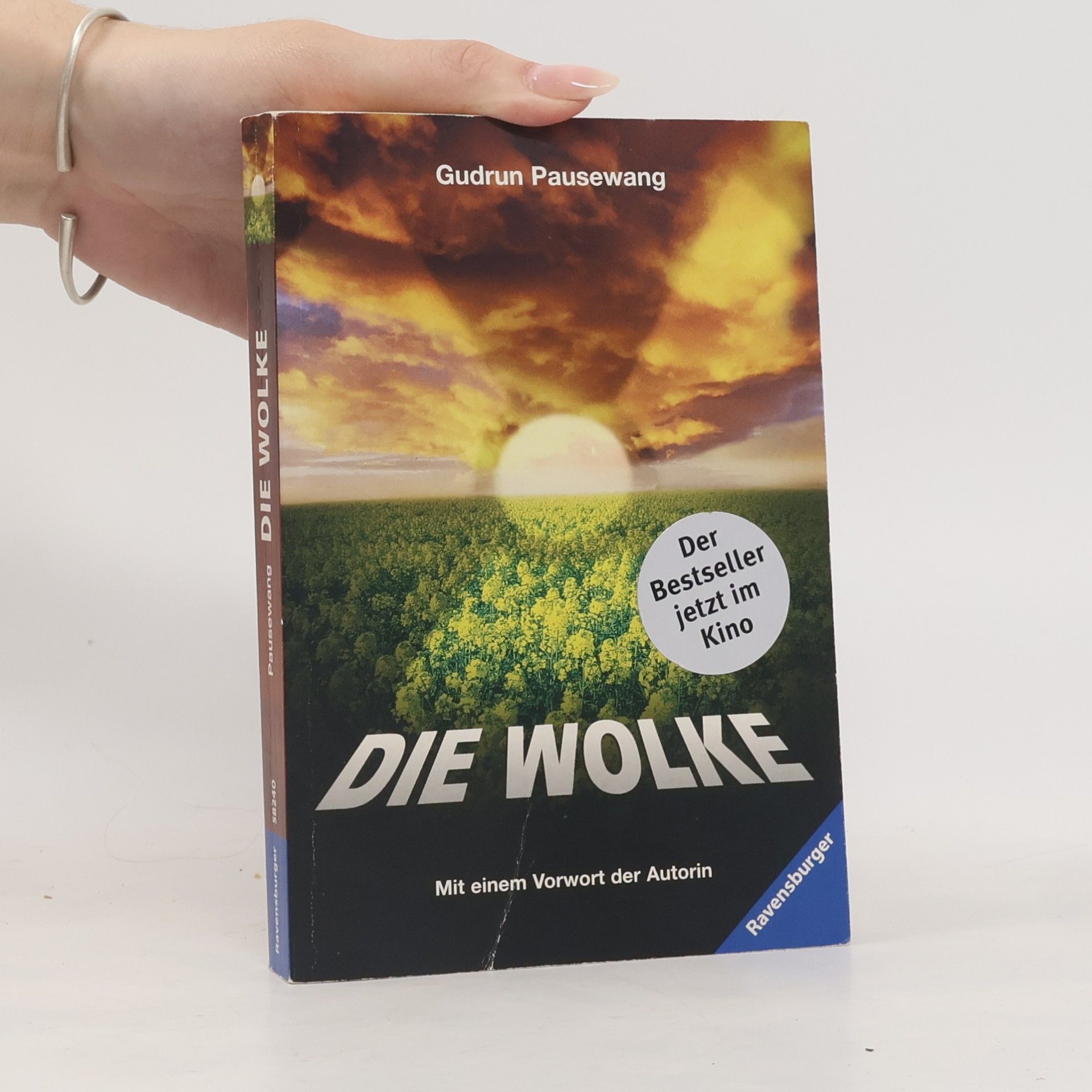 Gudrun Pausenwang Die Wolke