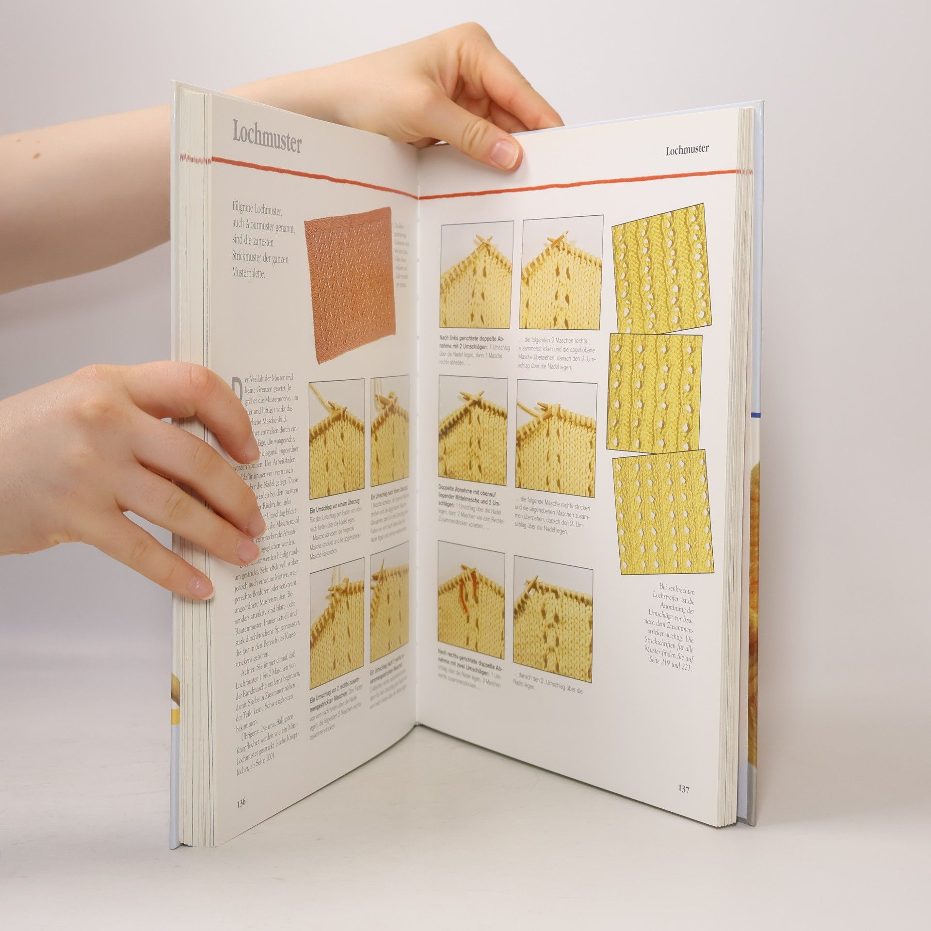 Katharina Buss Das große Strickbuch