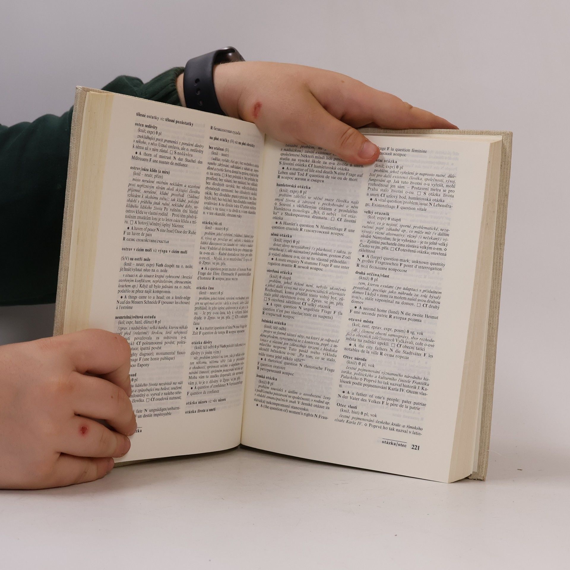 František Čermák (jazykovedec) Slovník české frazeologie a idiomatiky. Výrazy neslovesné