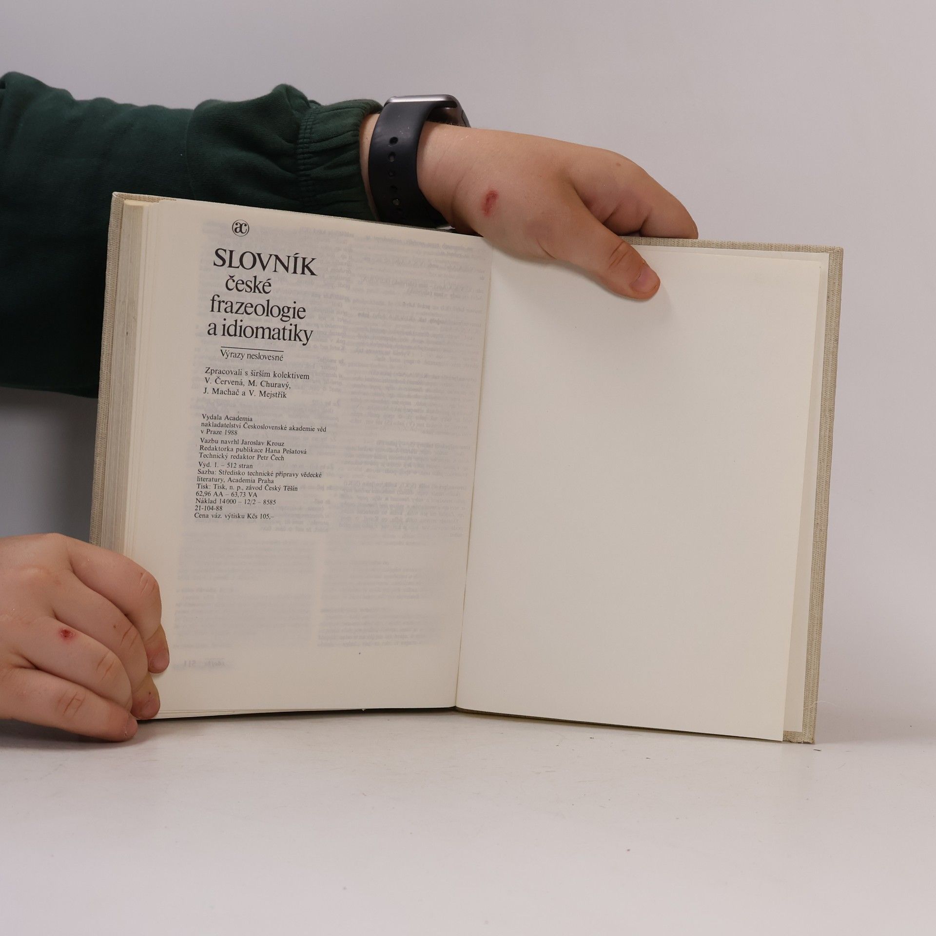 František Čermák (jazykovedec) Slovník české frazeologie a idiomatiky. Výrazy neslovesné