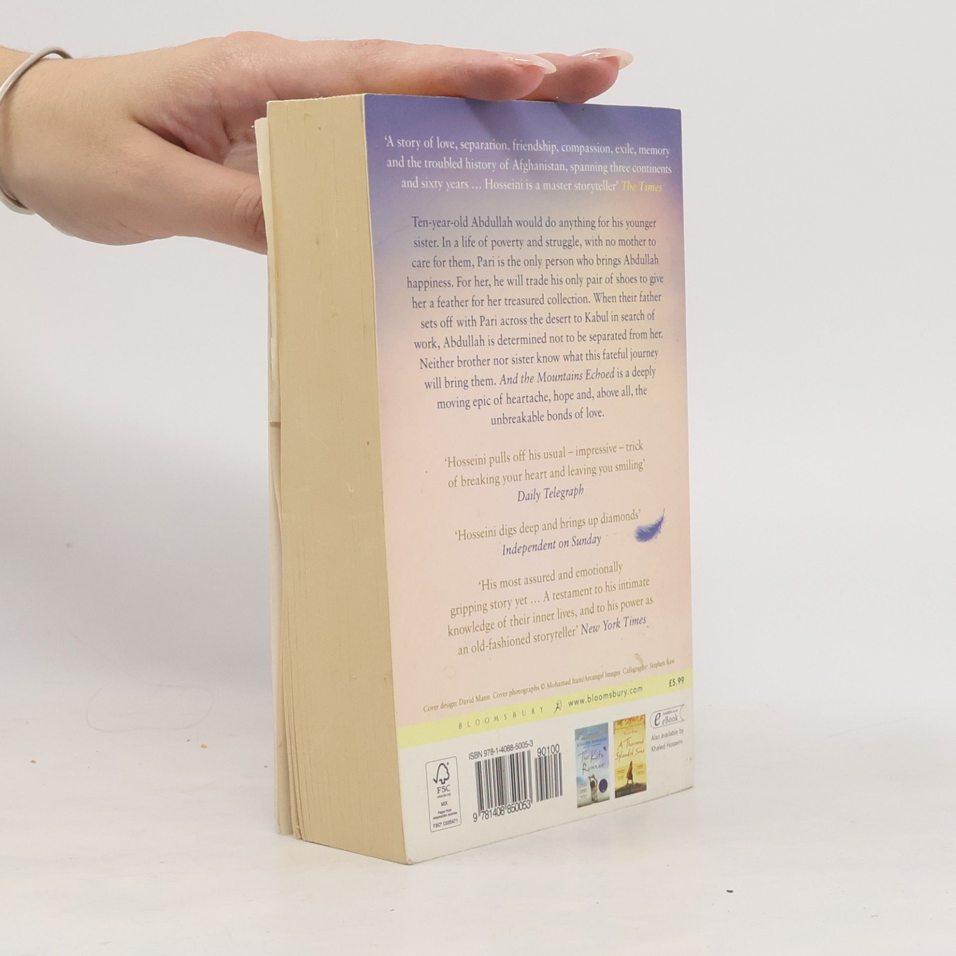 Khaled Hosseini And the Mountains Echoed