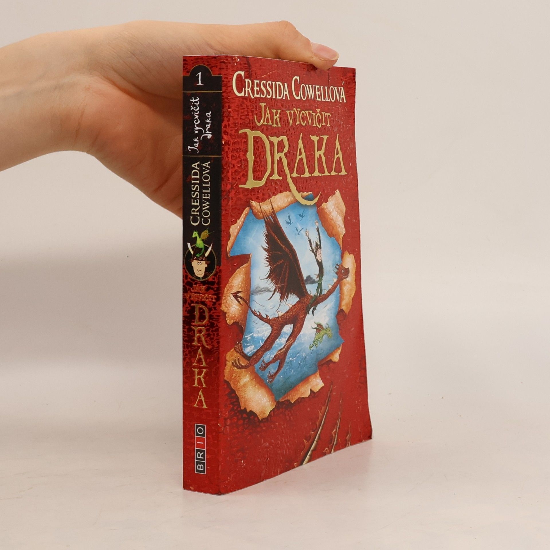 Cressida Cowell Jak vycvičit draka 1