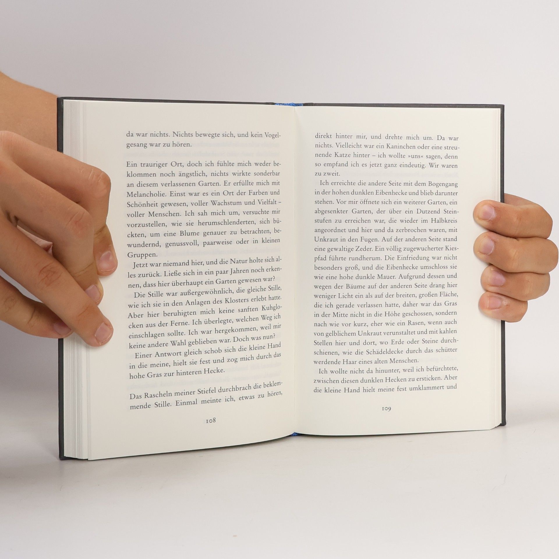 Susan Hill Die kleine Hand