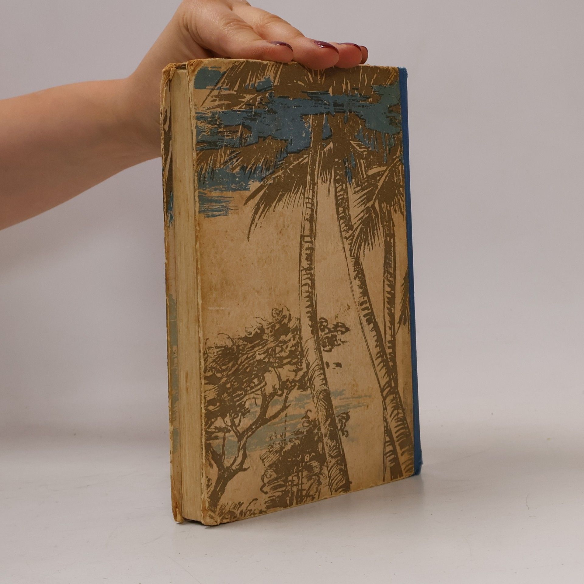 Daniel Defoe Robinson Crusoe