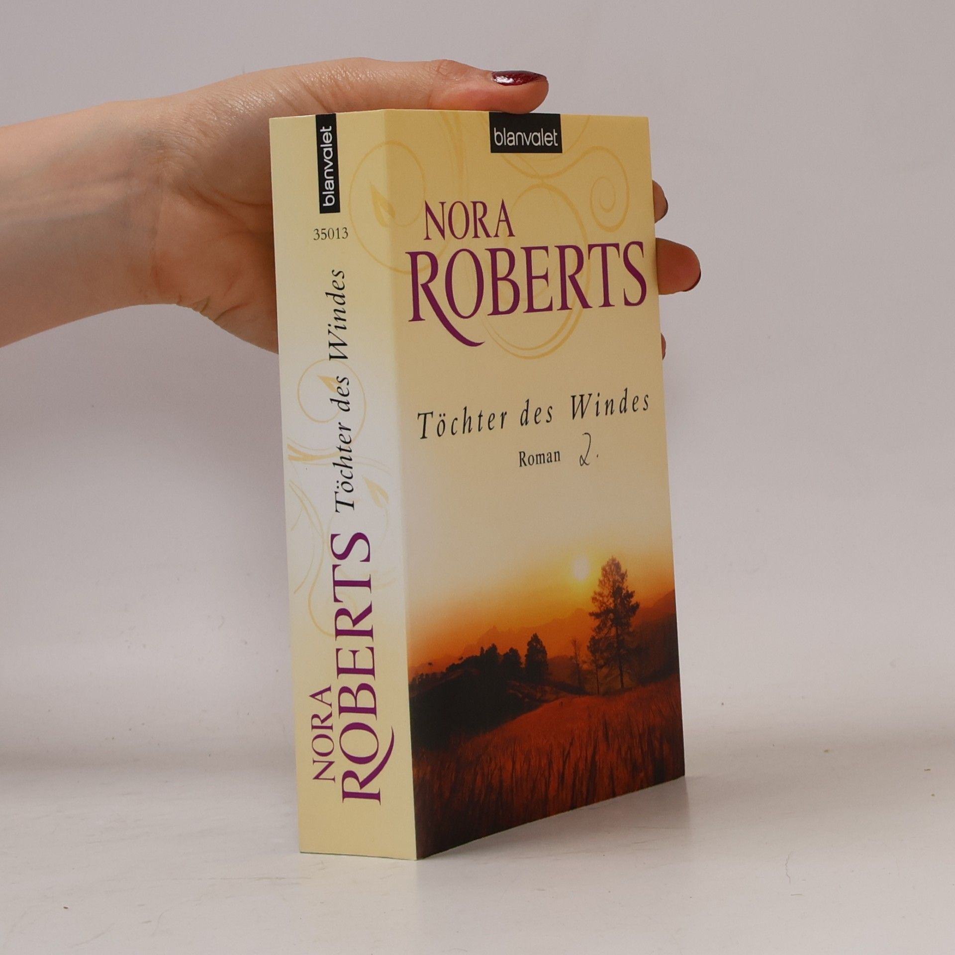 Nora Roberts Töchter des Windes