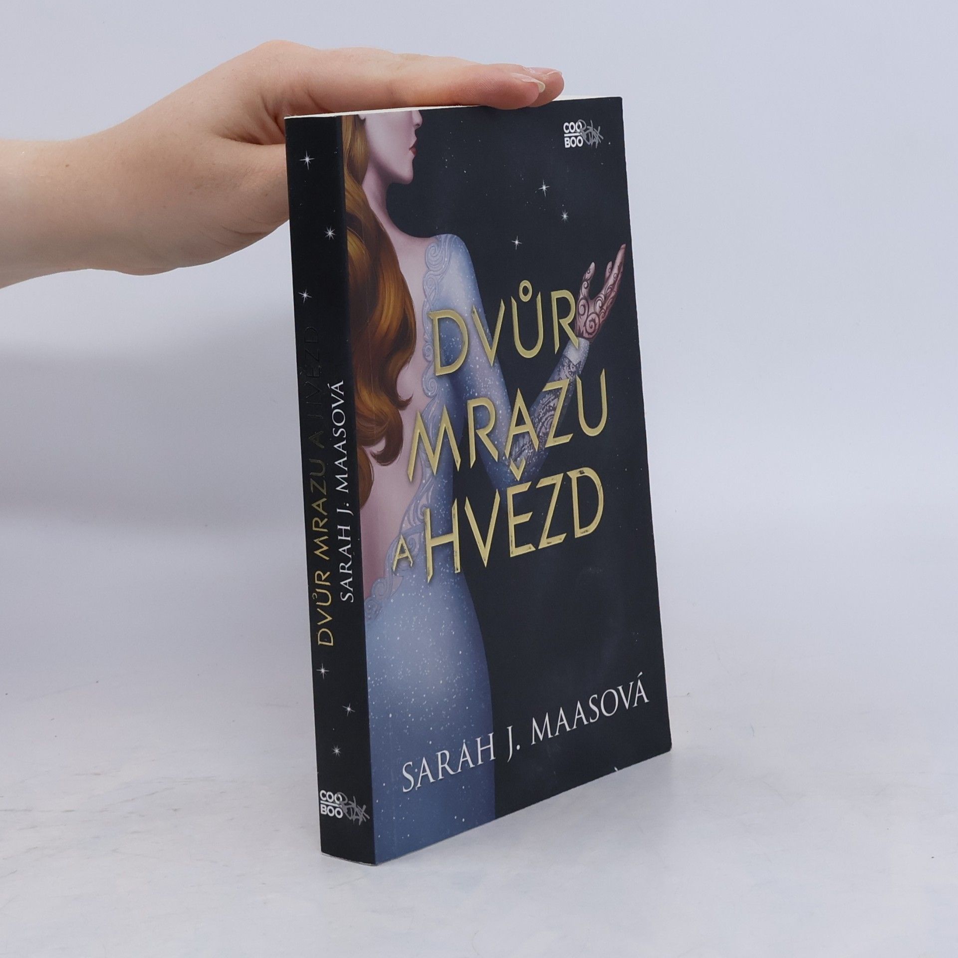 Sarah J. Maas Dvůr mrazu a hvězd