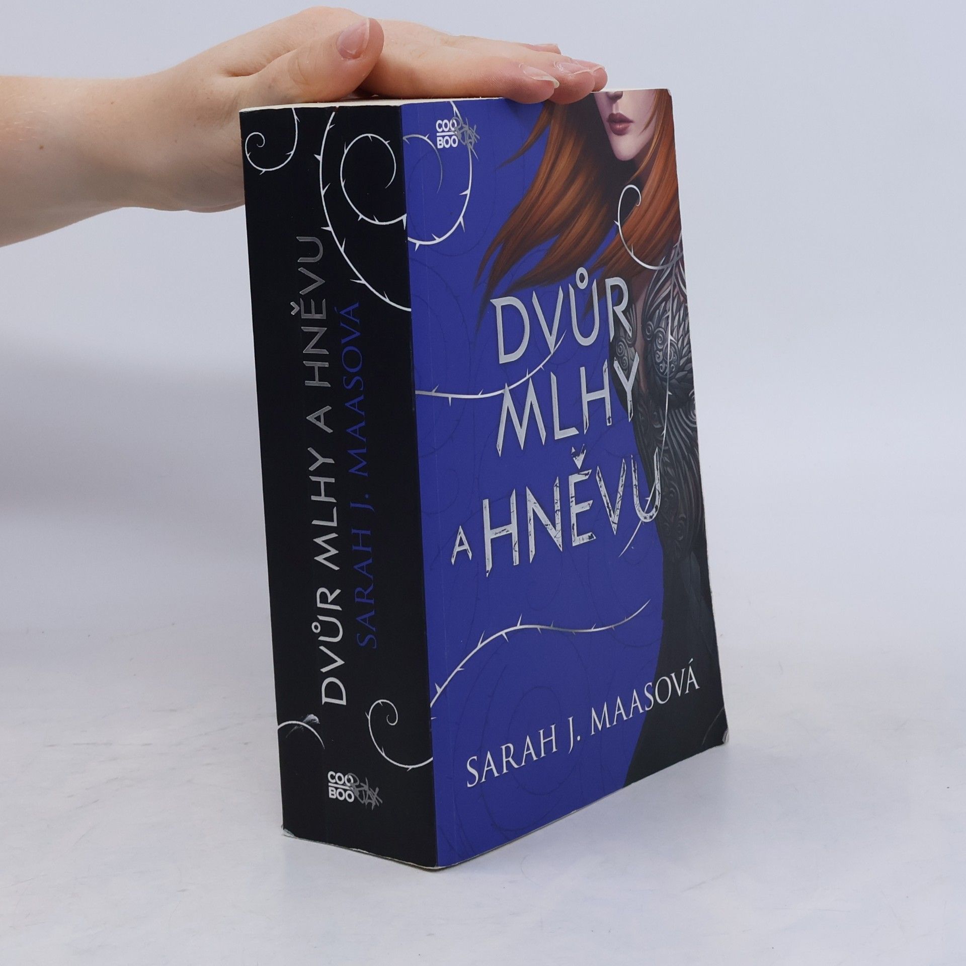 Sarah J. Maas Dvůr mlhy a hněvu