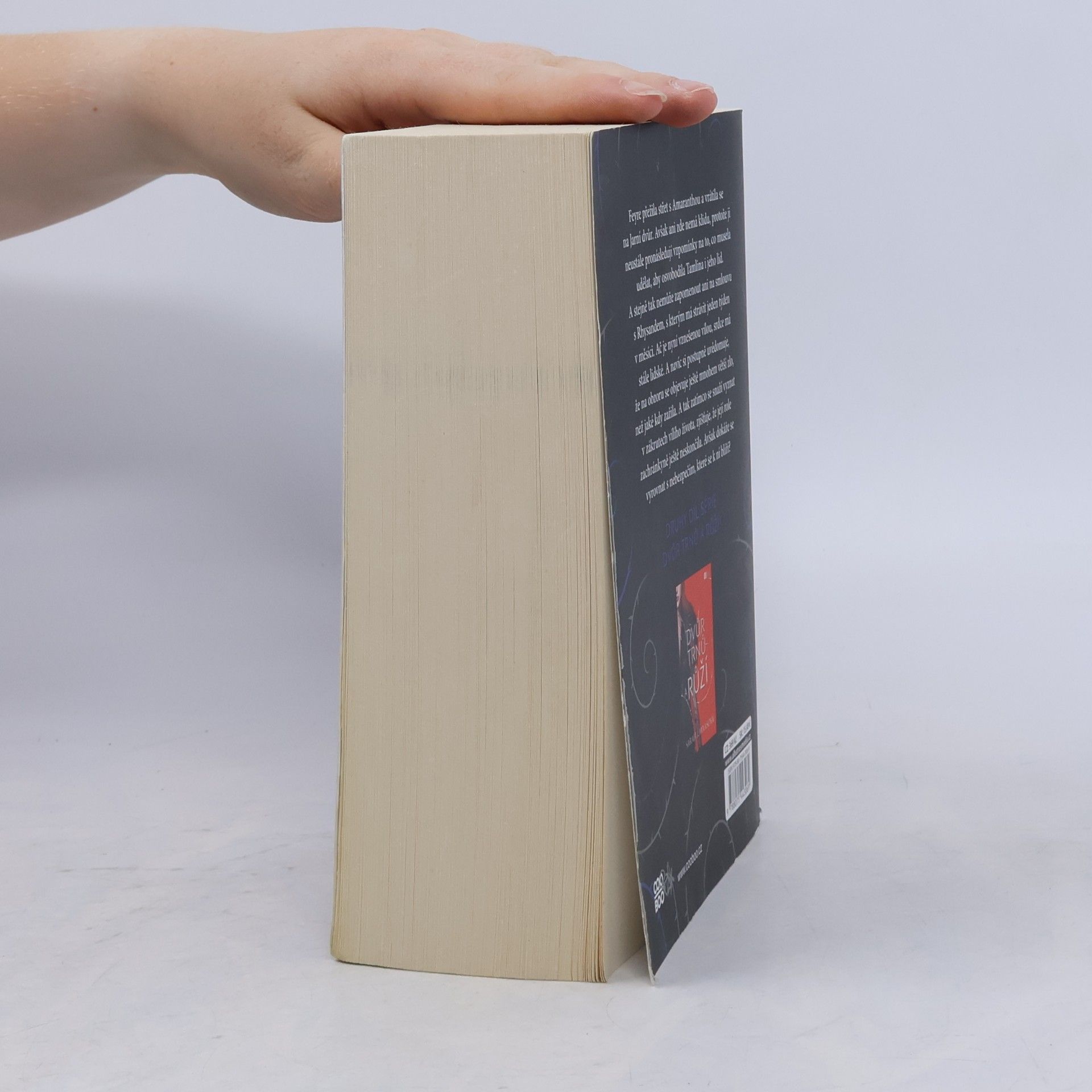 Sarah J. Maas Dvůr mlhy a hněvu