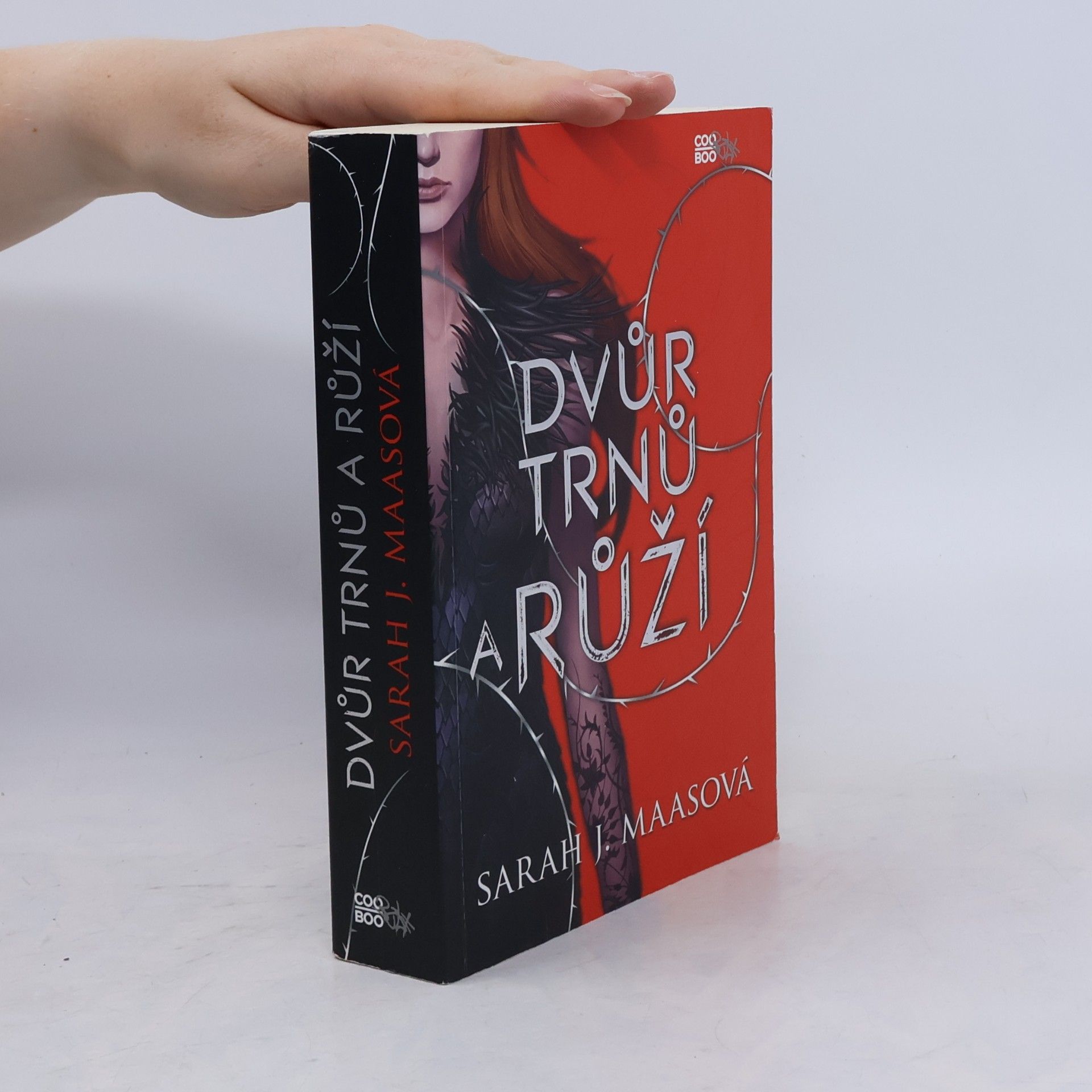 Sarah J. Maas Dvůr trnů a růží