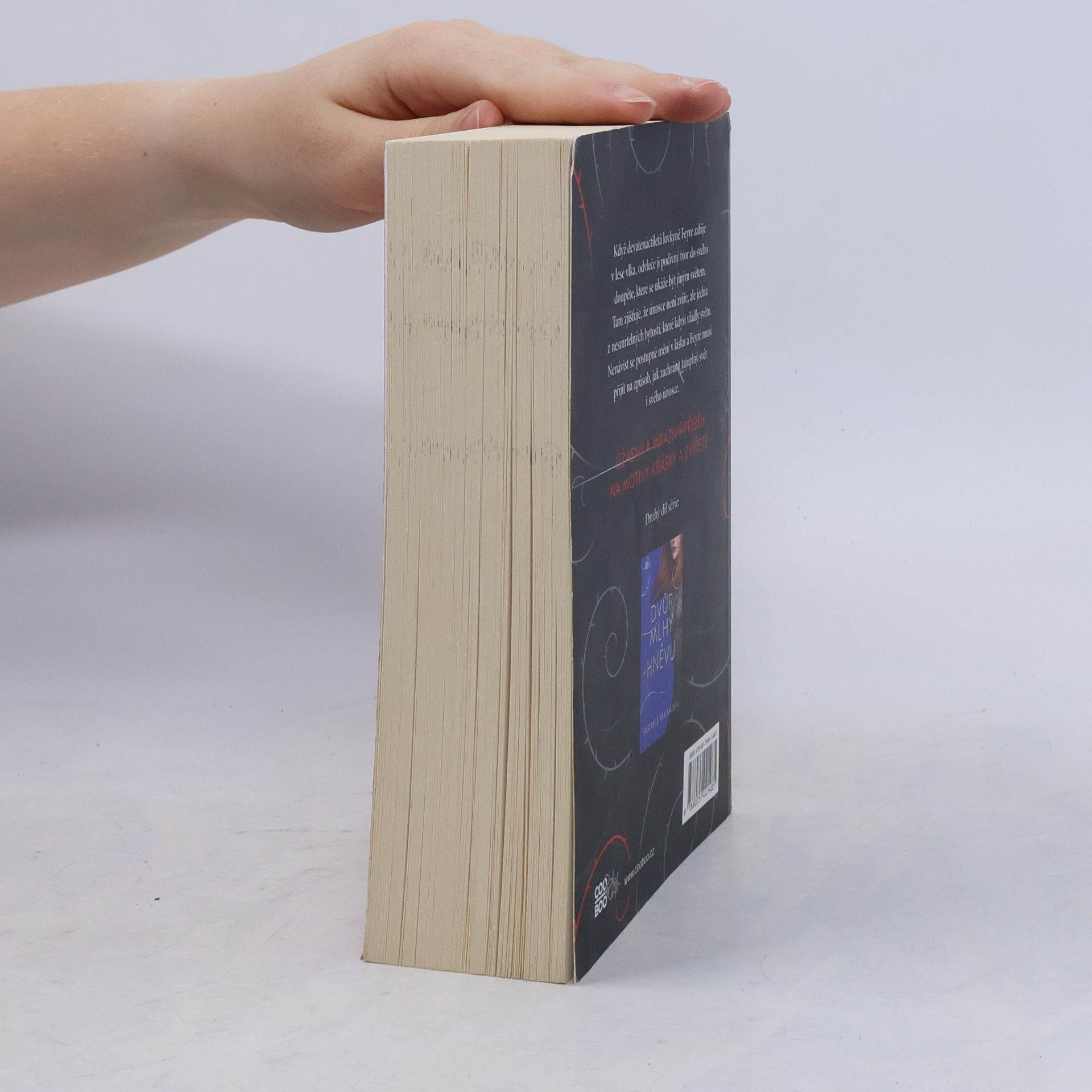 Sarah J. Maas Dvůr trnů a růží