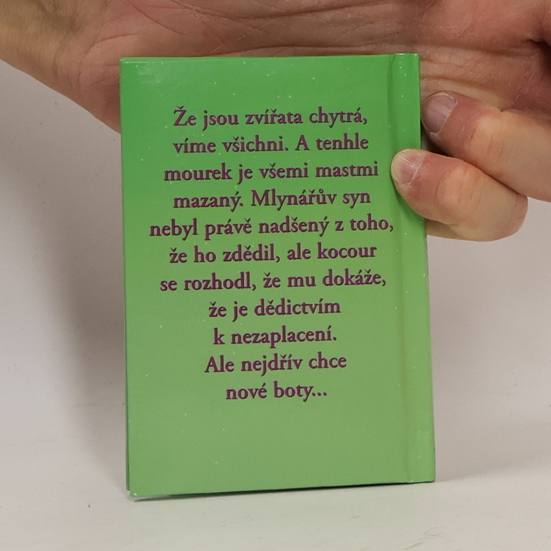 Autorenkollektiv Kocour v botách