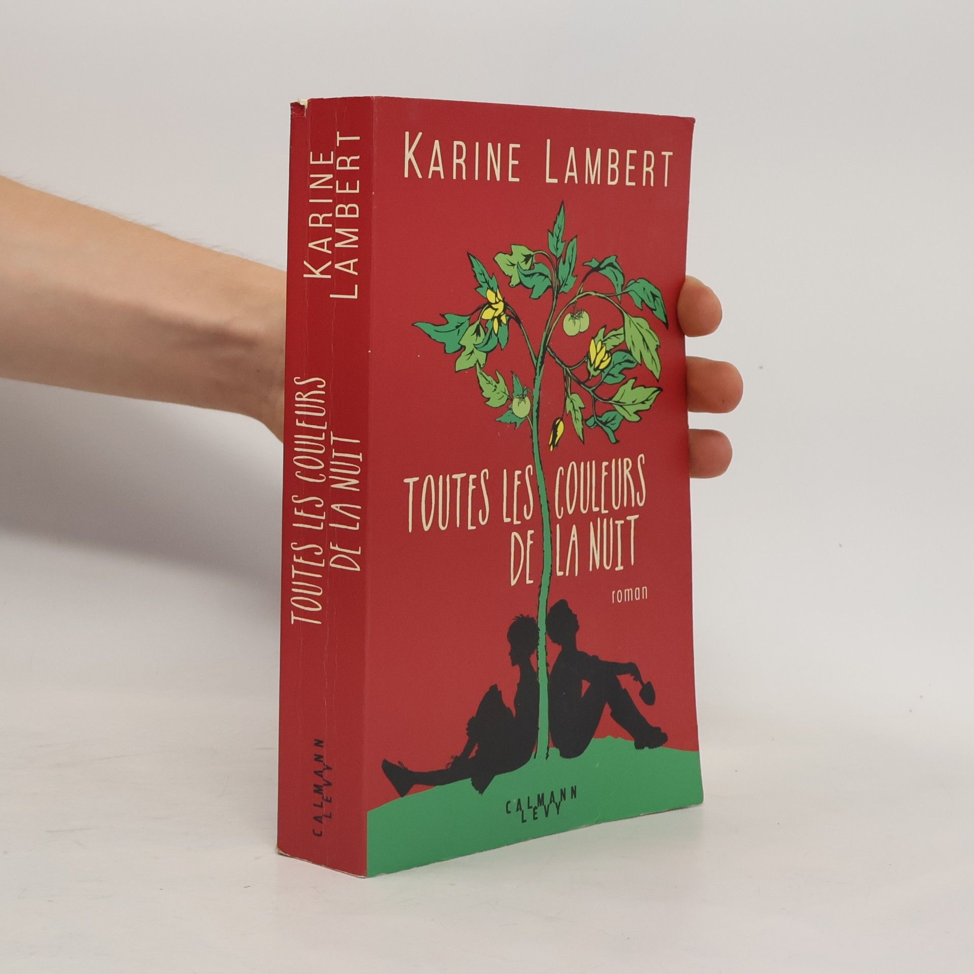Karine Lambert Toutes les couleurs de la nuit