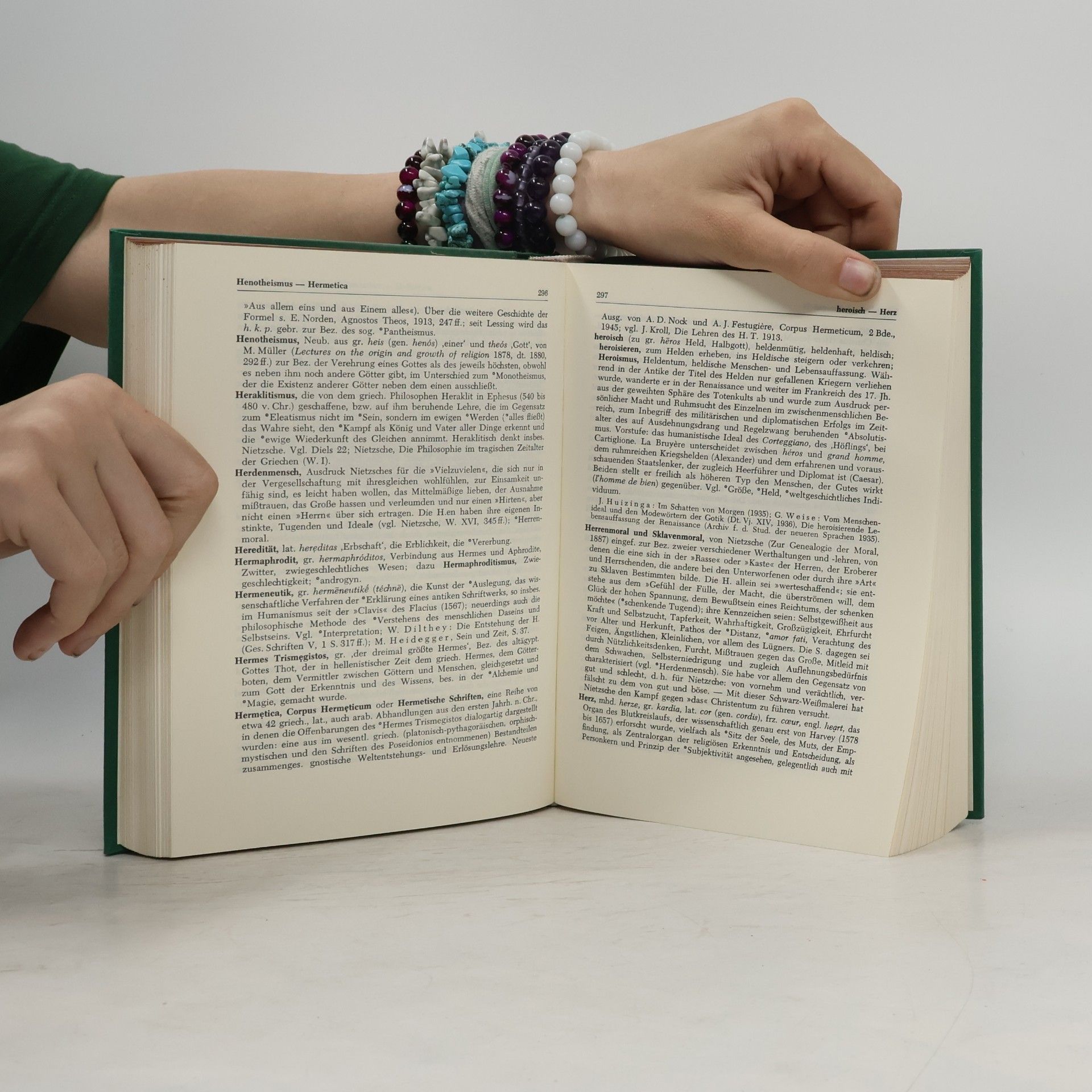 Johannes Hoffmeister Wörterbuch der philosophischen Begriffe