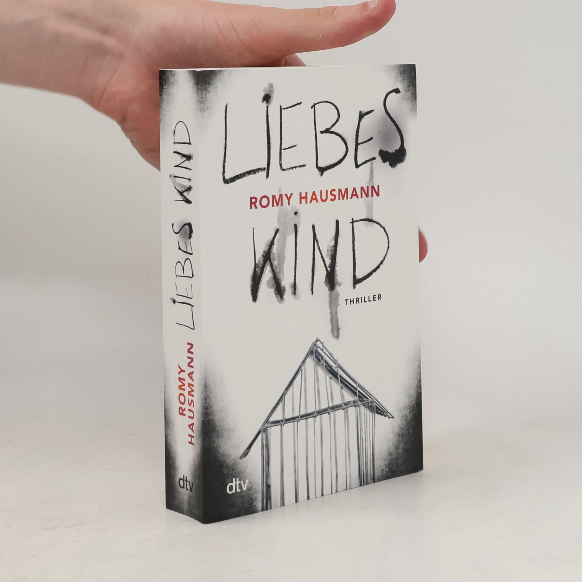 Romy Hausmann Liebes Kind