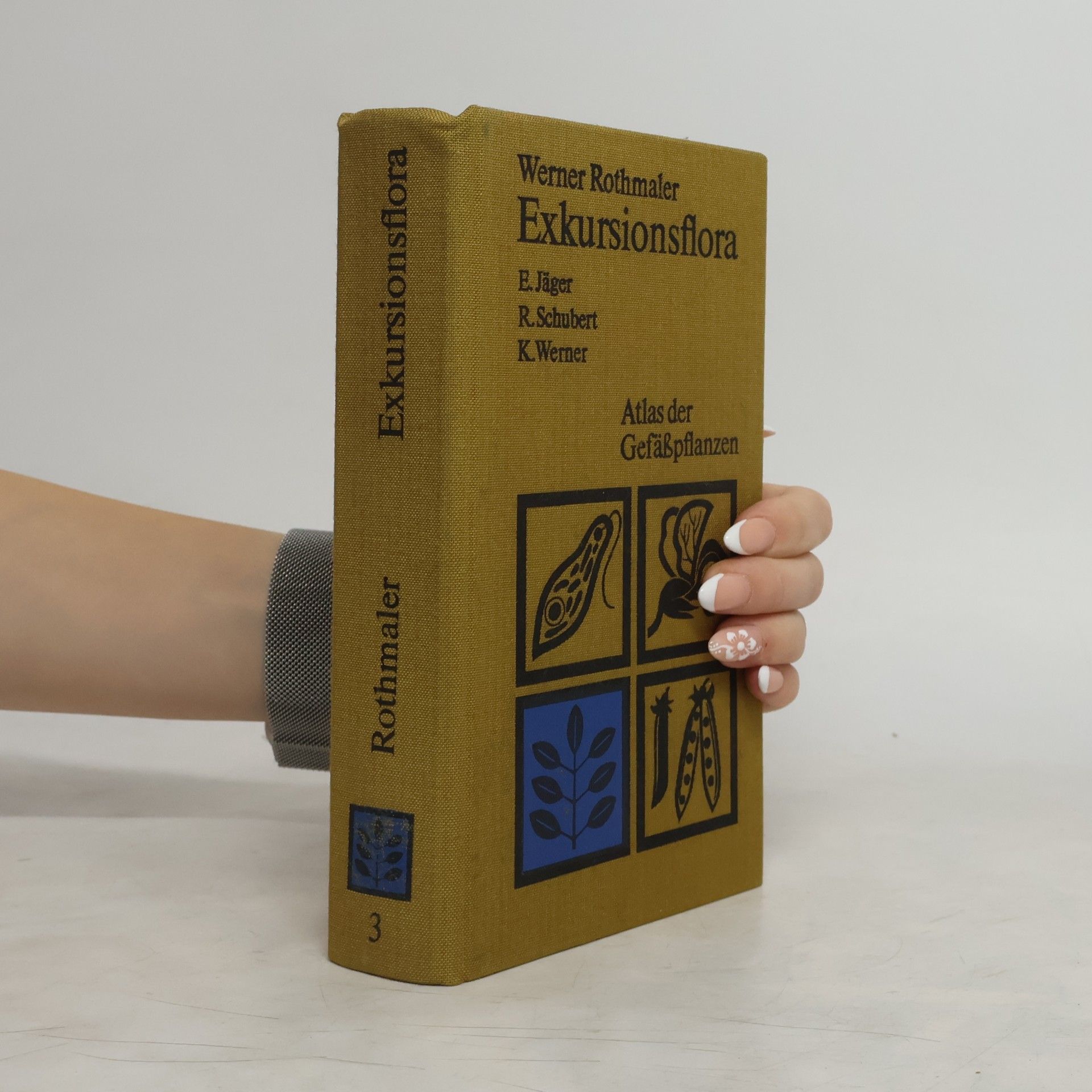 Werner Rothmaler Exkursionsflora
