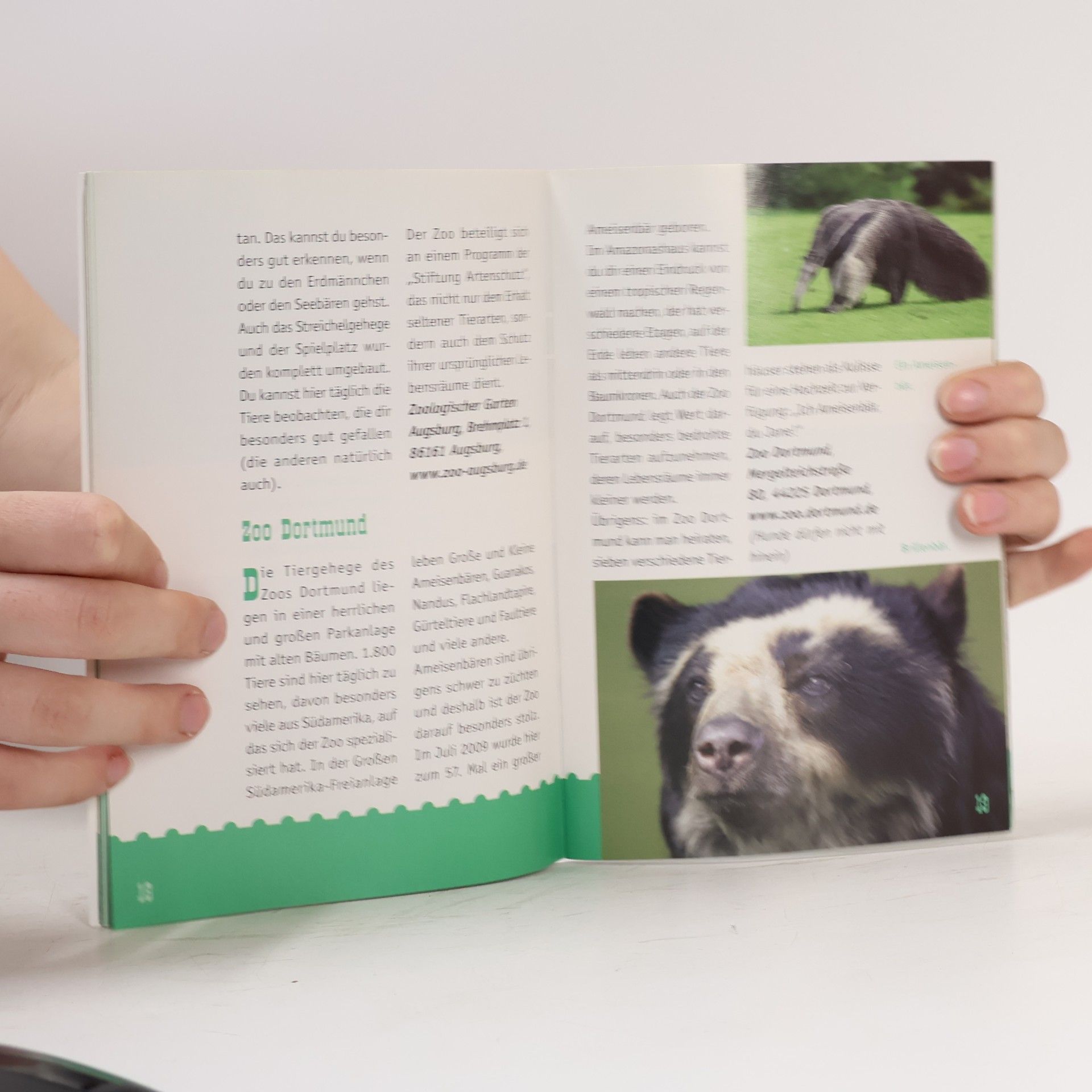 Various authors Zoos und Tierparks in Deutschland