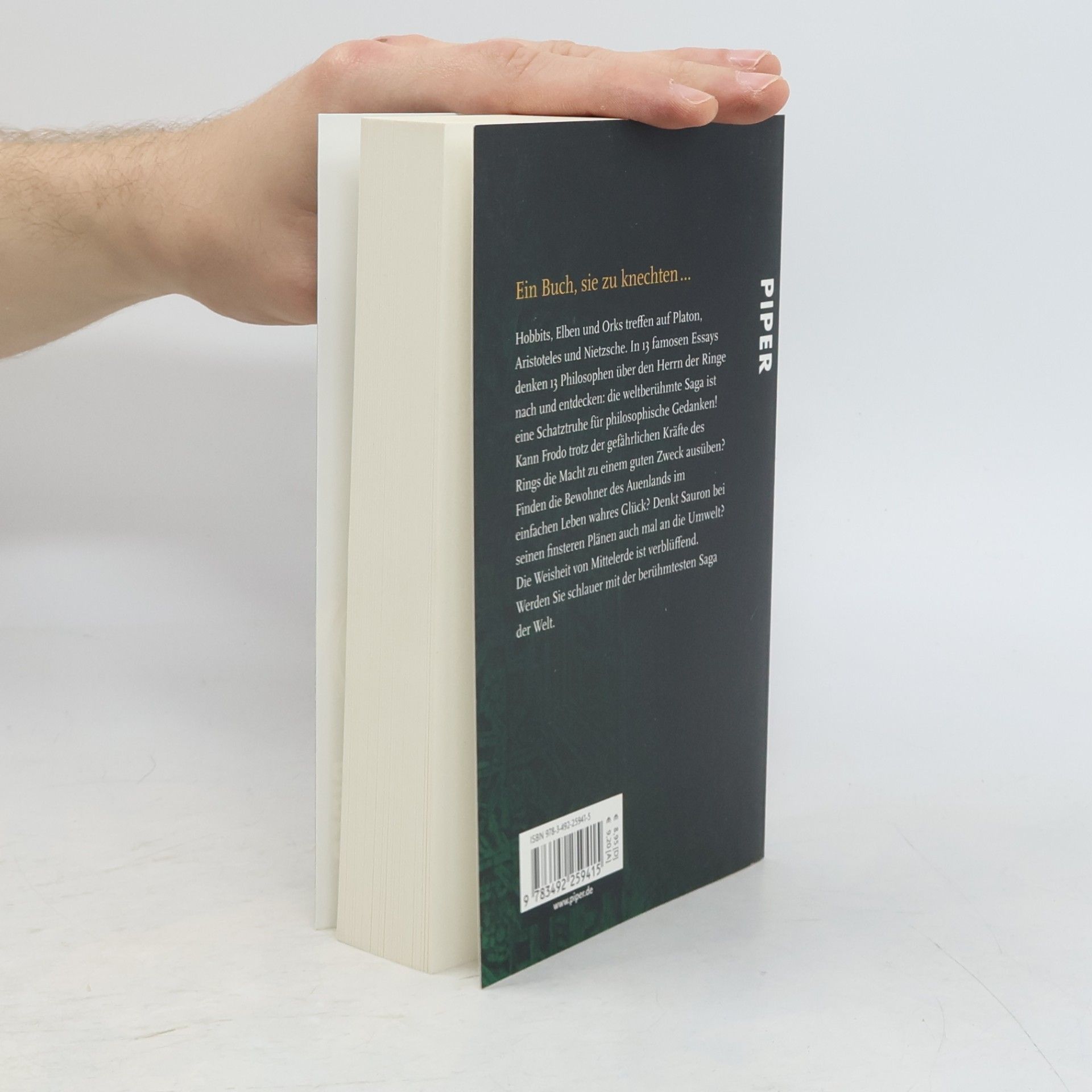 Gregory Bassham Der Herr der Ringe und die Philosophie