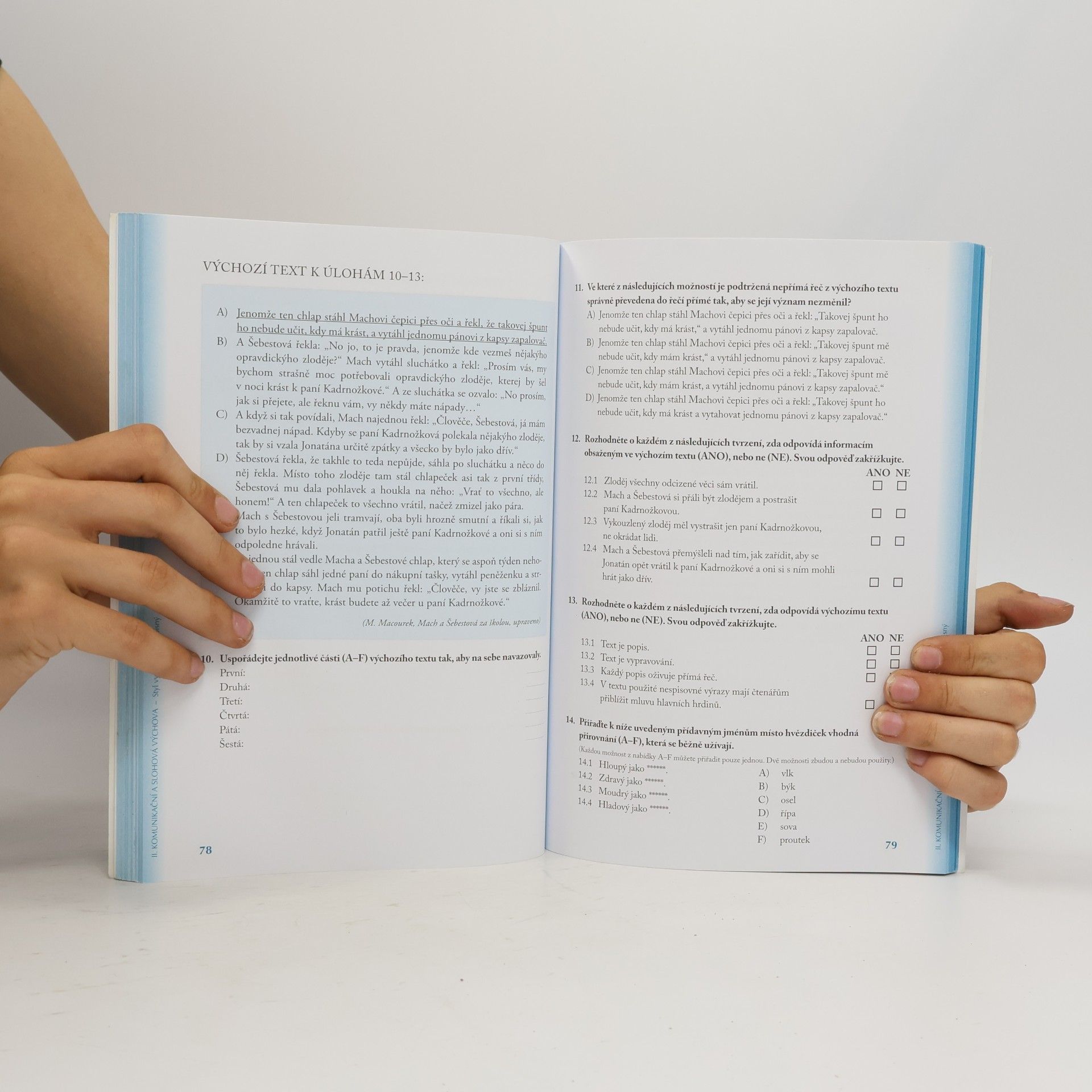 Autorenkollektiv Přijímací zkoušky na víceletá gymnázia Český jazyk. 5. třída
