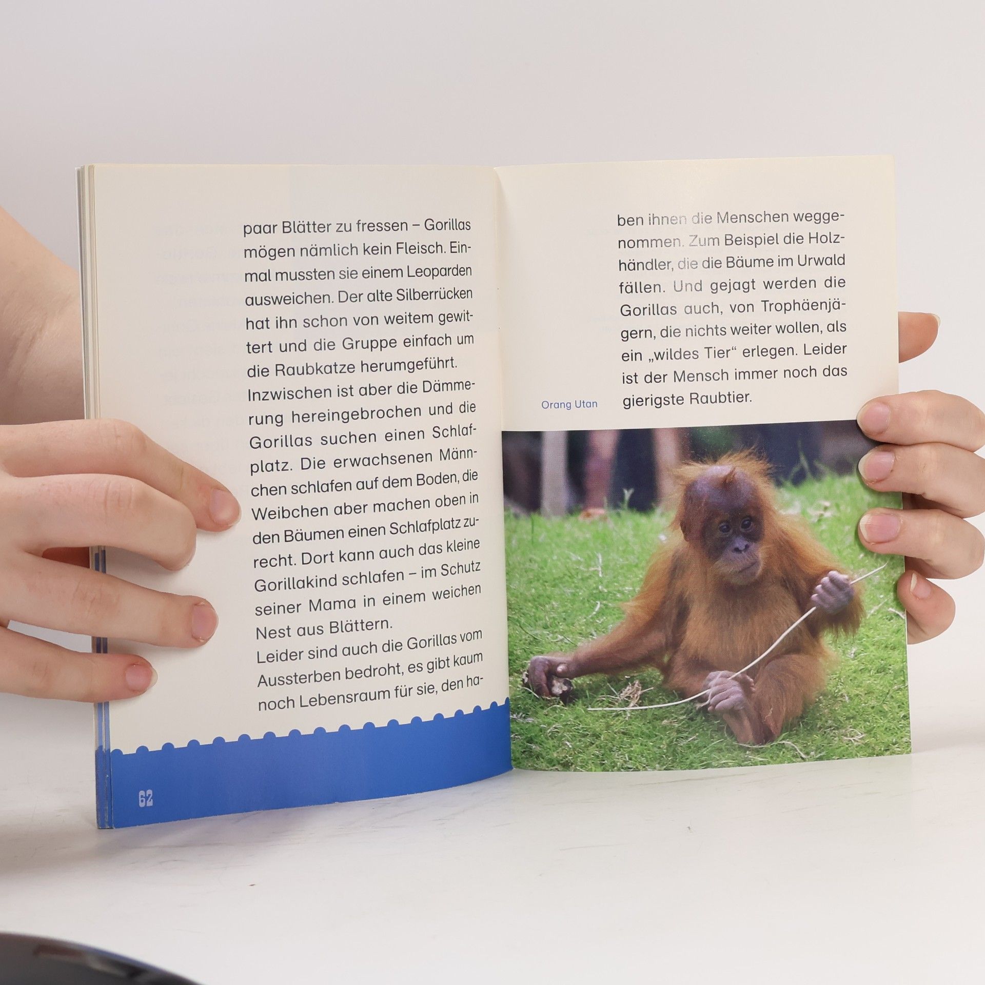 Autorenkollektiv Die wilden Tierkinder Afrikas: Tierkinder Afrikas in ihrer Kinderstube beobachten