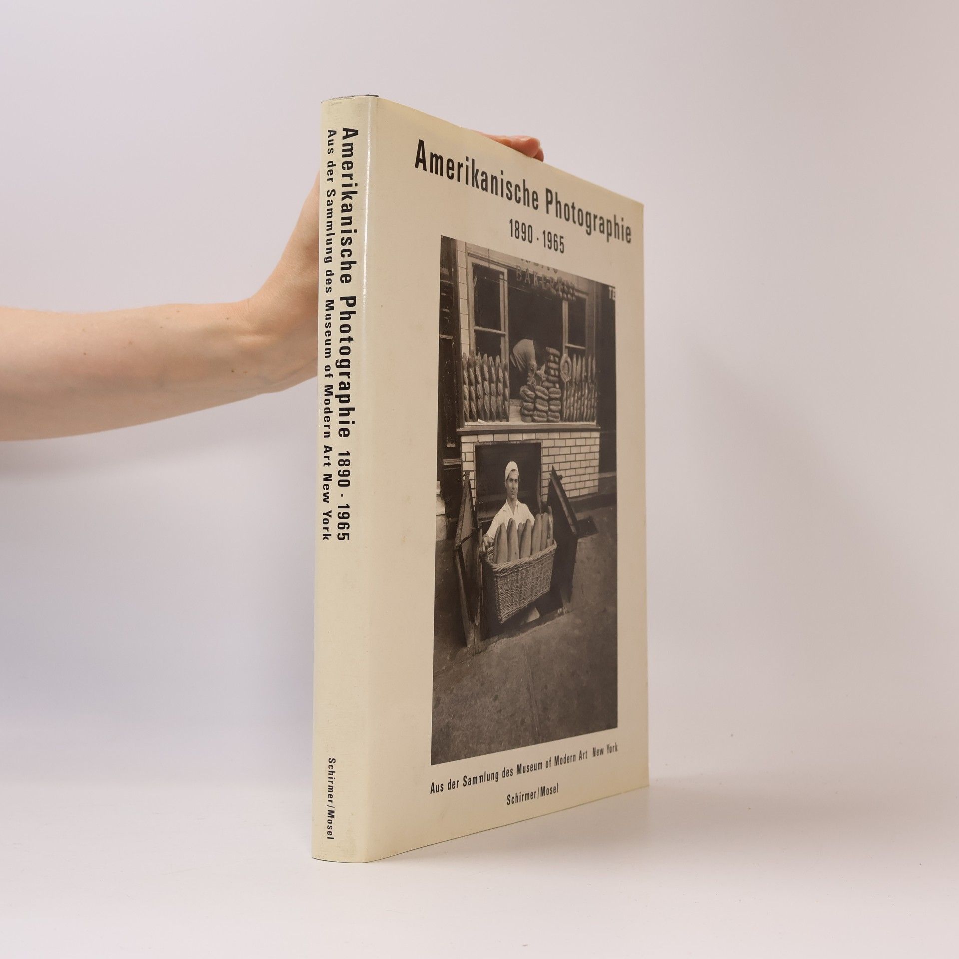 Peter Galassi Amerikanische Photographie