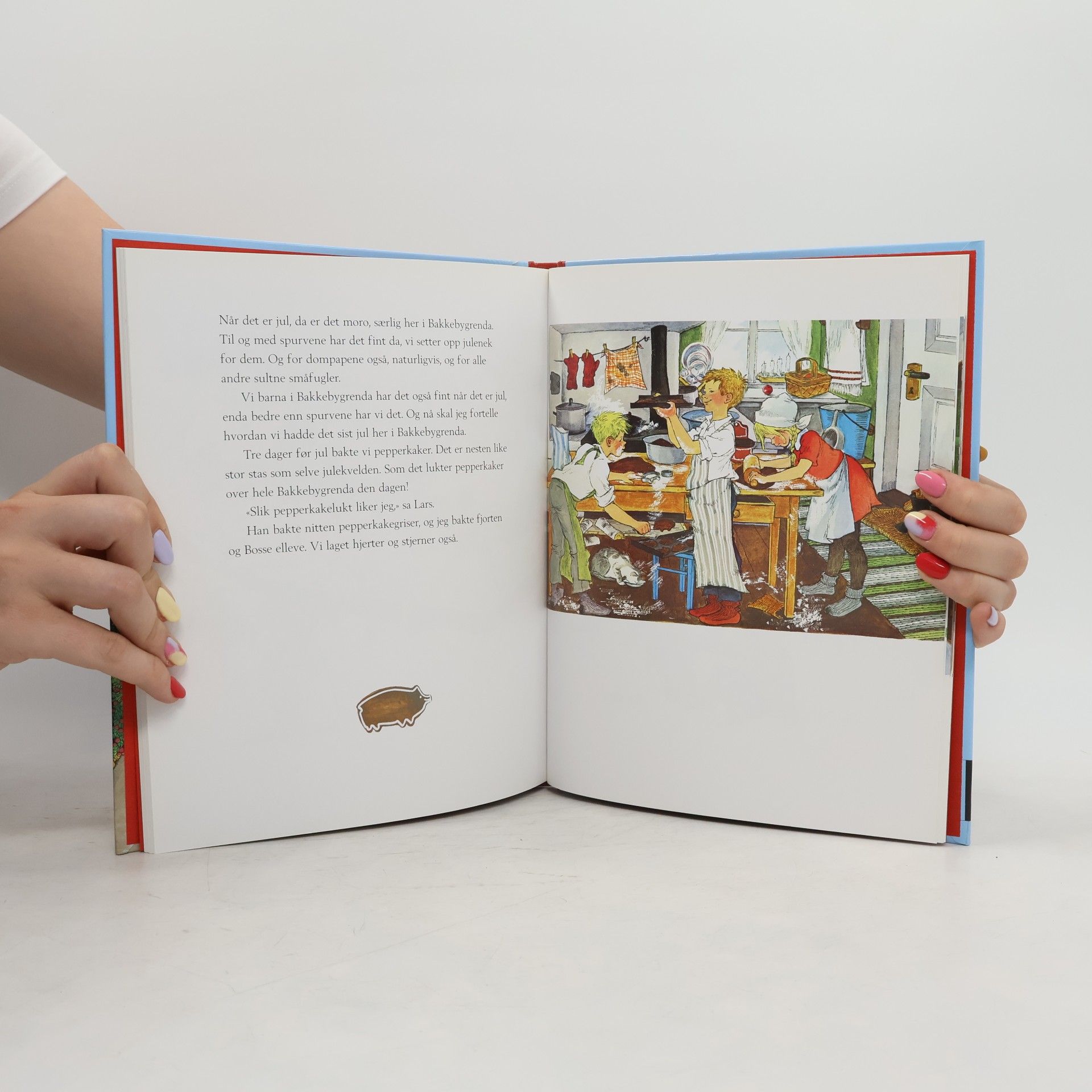 Astrid Lindgren Barna i Bakkebygrenda
