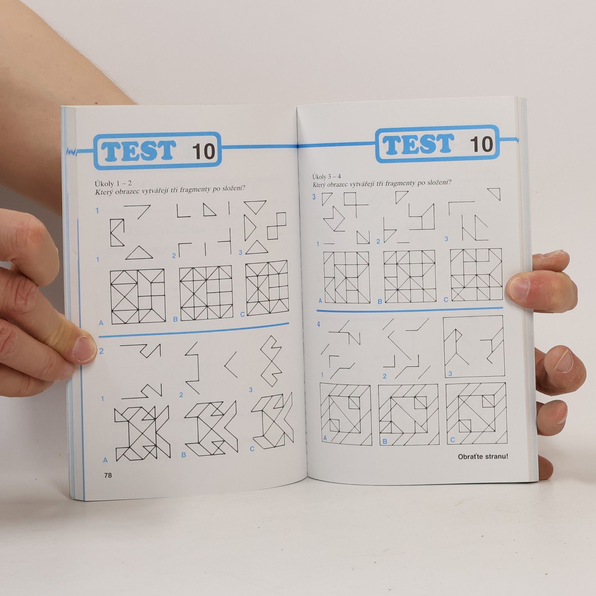 J. E. Klausnitzer IQ test pro každého