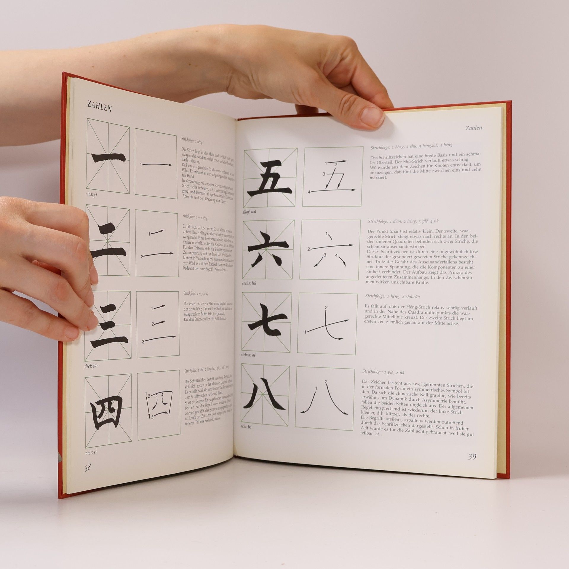 Rong Fang Cao Chinesische Kalligraphie. Arbeiten mit Pinsel und Tusche