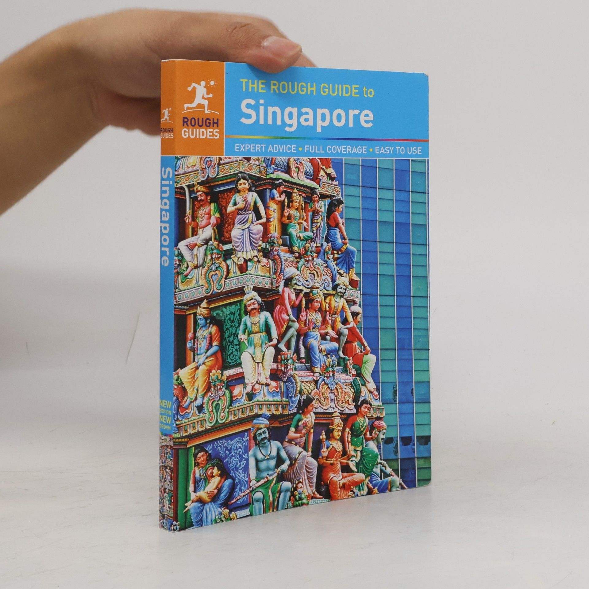Mark Lewis The Rough Guide to Singapore