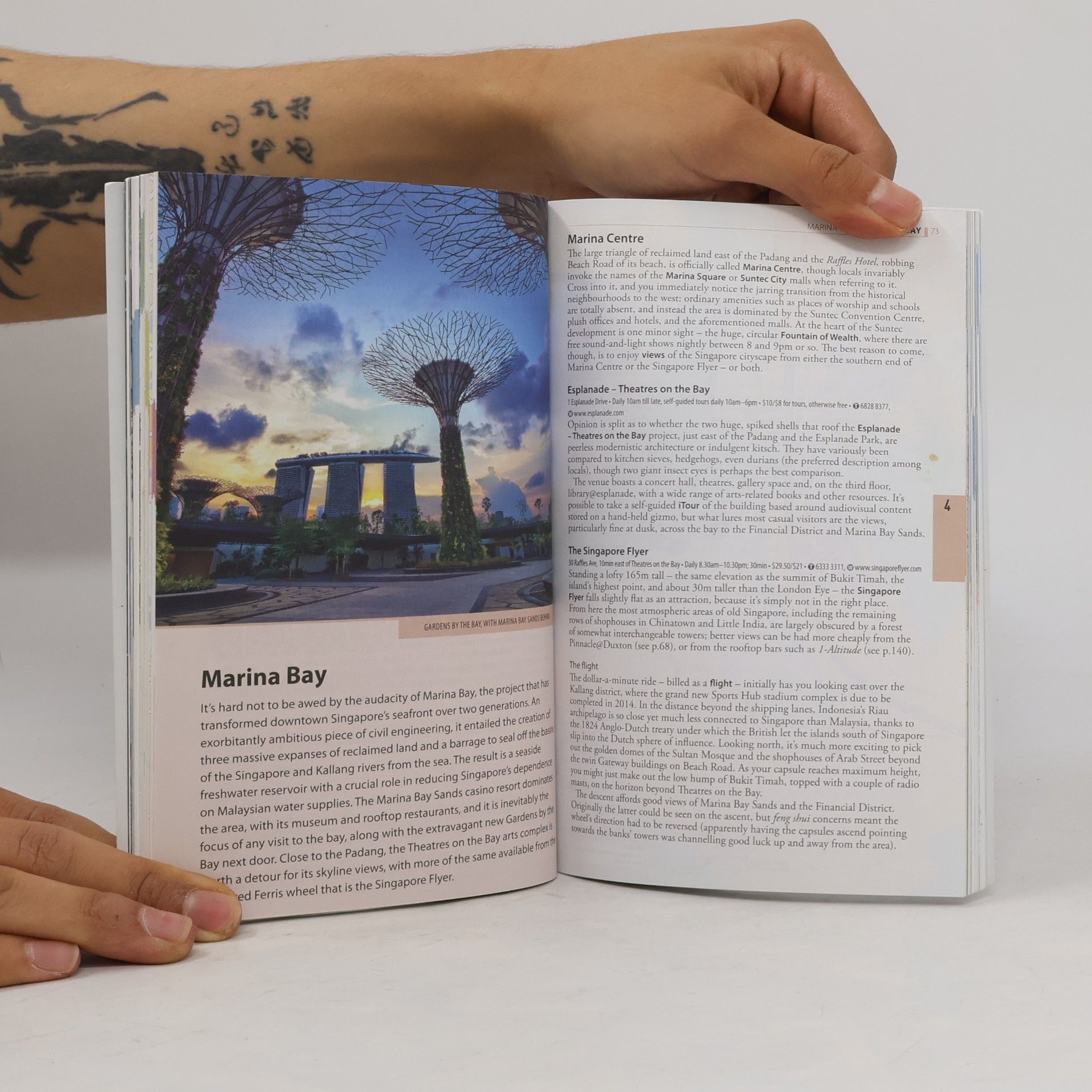 Richard Lim The Rough Guide to Singapore