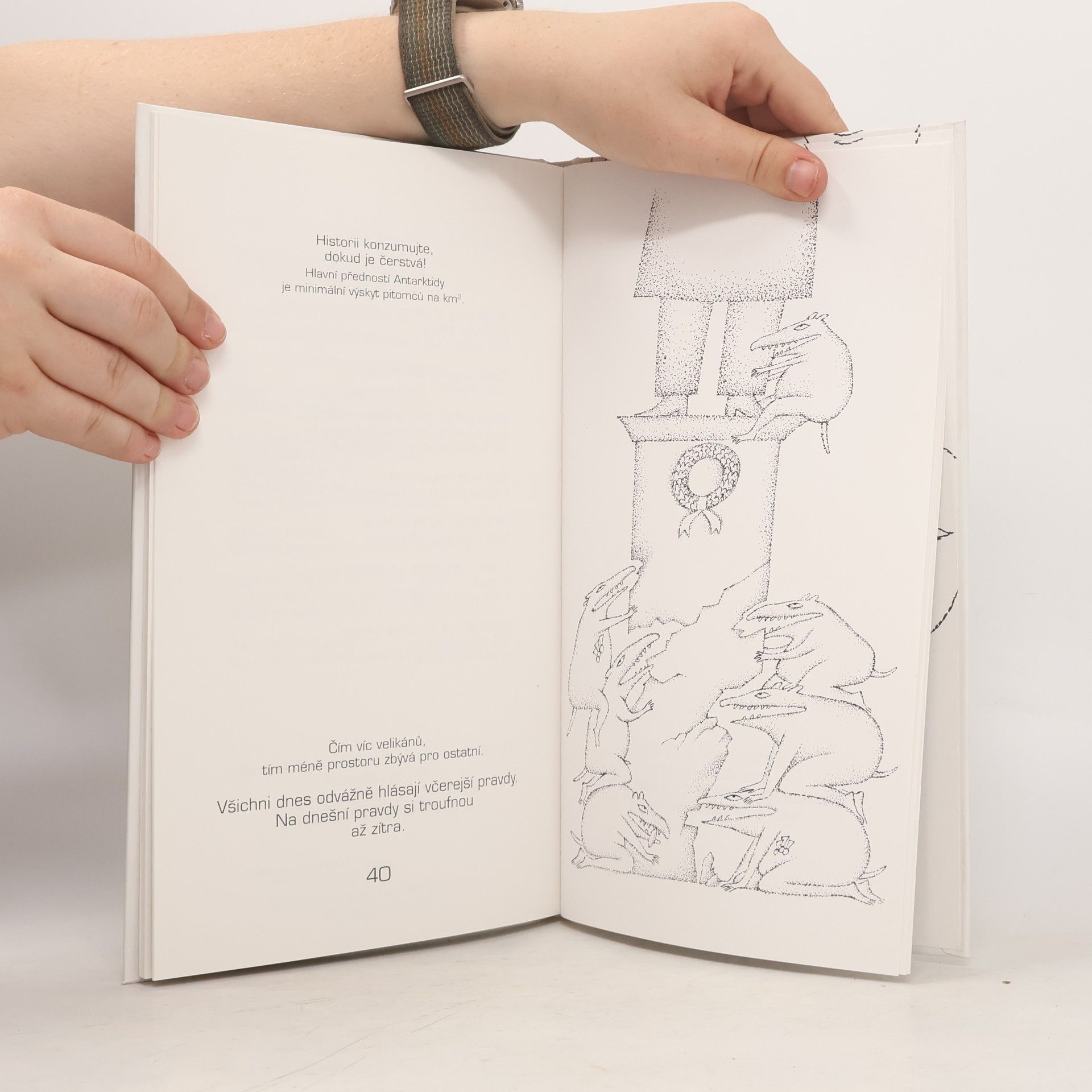 Jiří Žáček Noční motýli : text libris neboli metaforismy, minimaximy a bonmotta z let 1990-1996