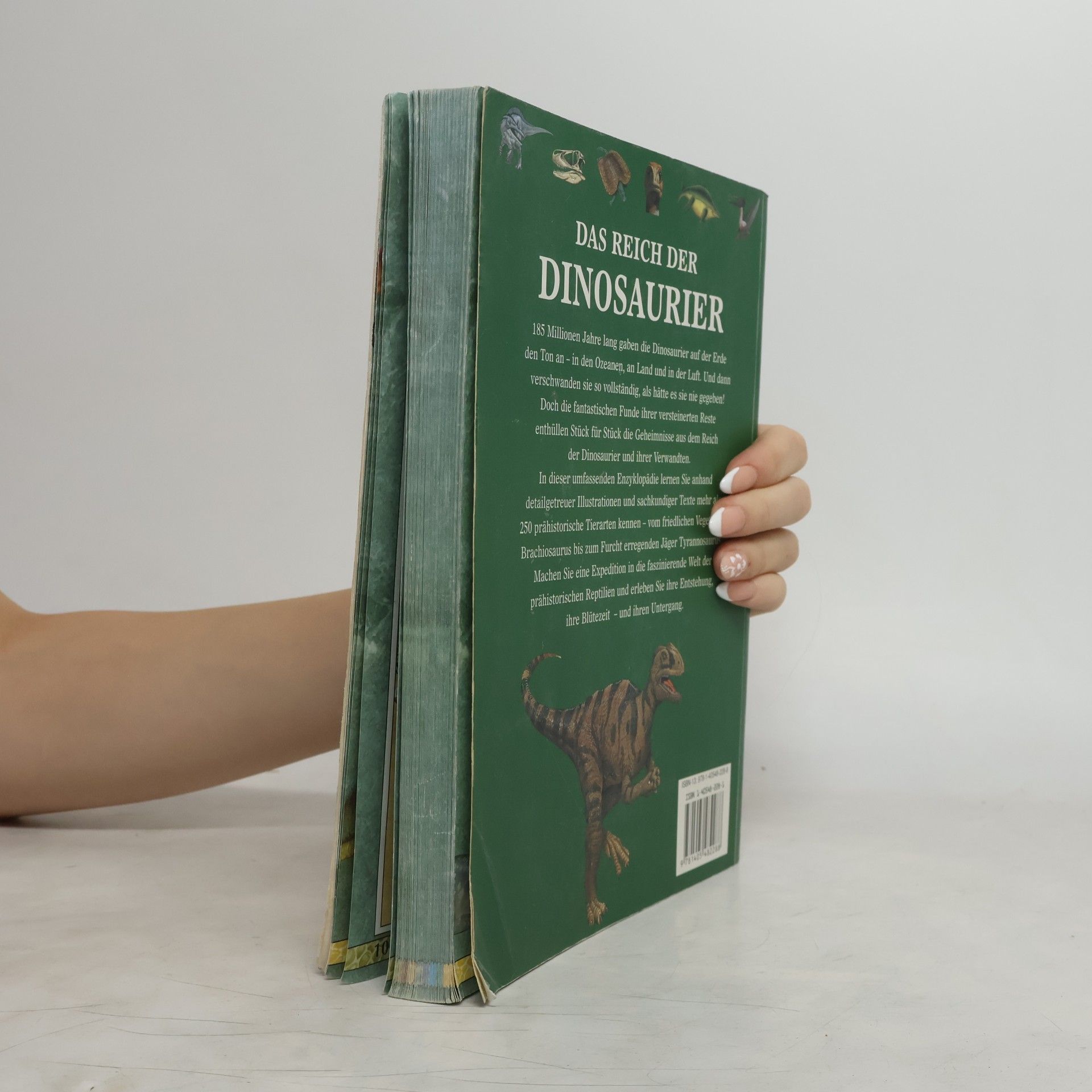 John Malam Das Reich der Dinosaurier