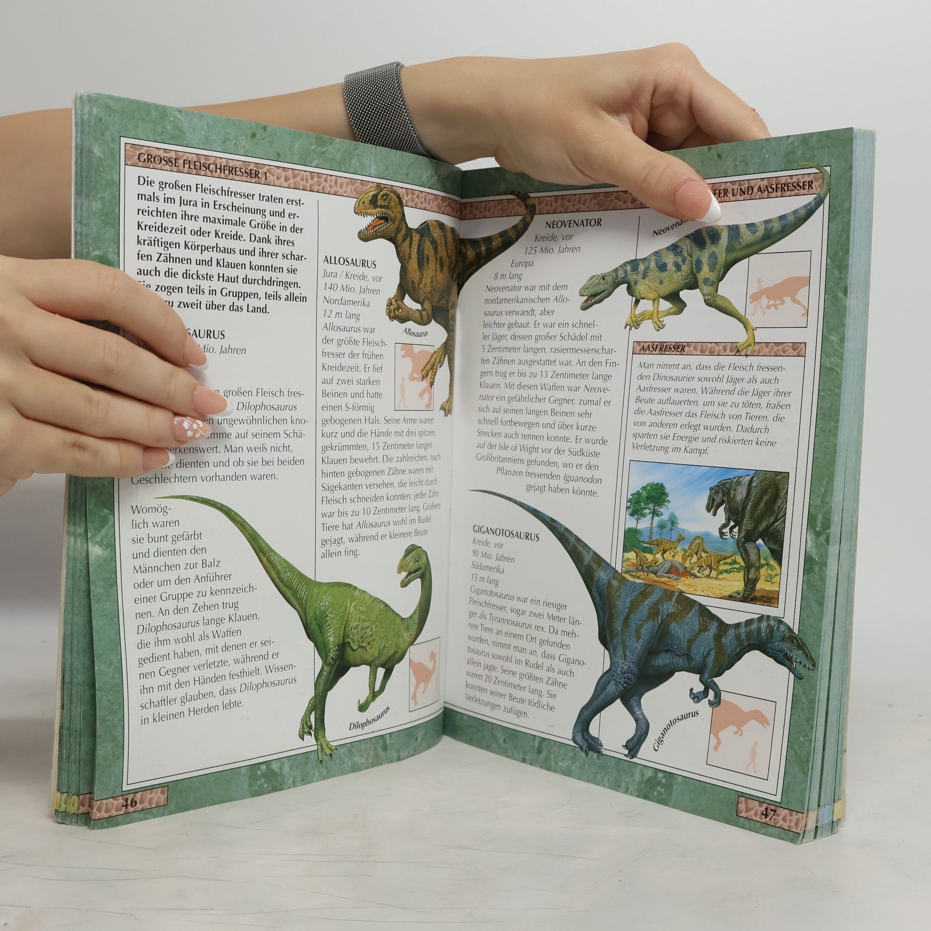John Malam Das Reich der Dinosaurier