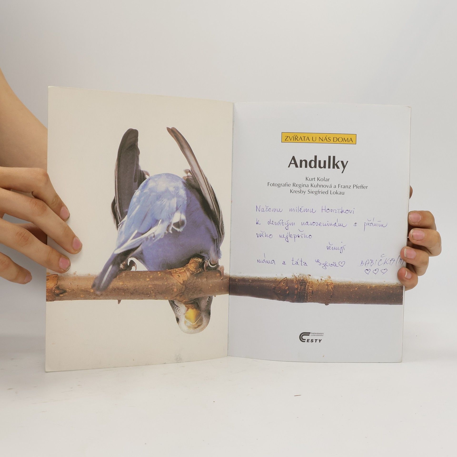 Various authors Andulky