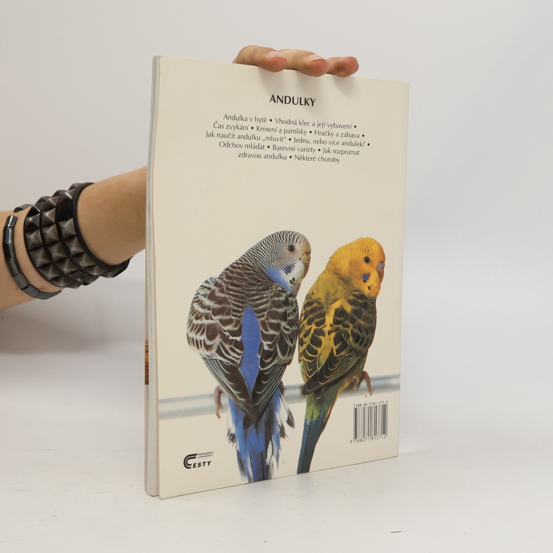 Various authors Andulky