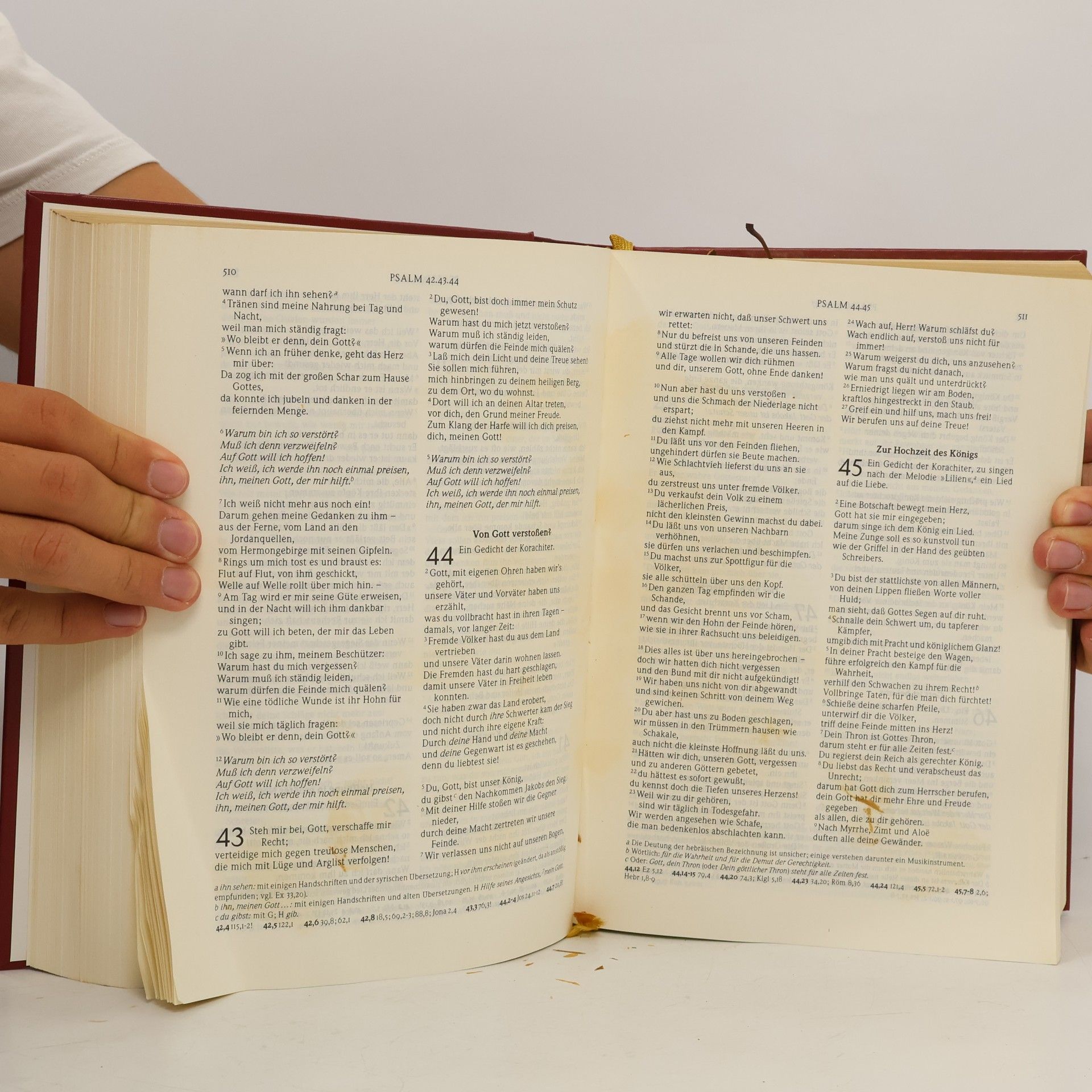 Autorenkollektiv Die Gute Nachricht. Die Bibel in heutigem Deutsch