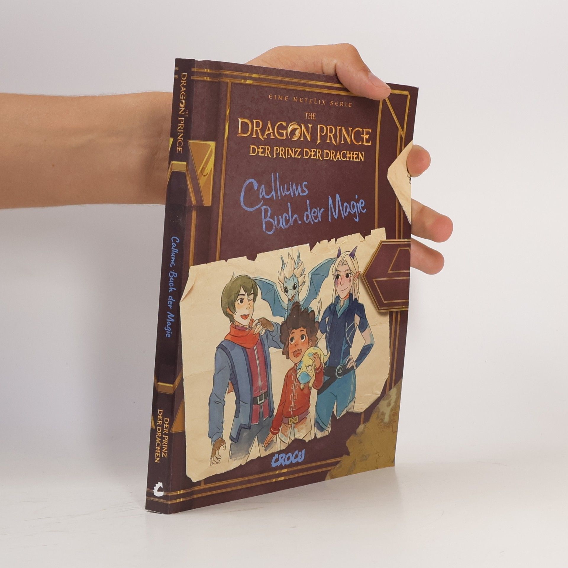 Tracey West Dragon Prince – Der Prinz der Drachen: Callums Buch der Magie
