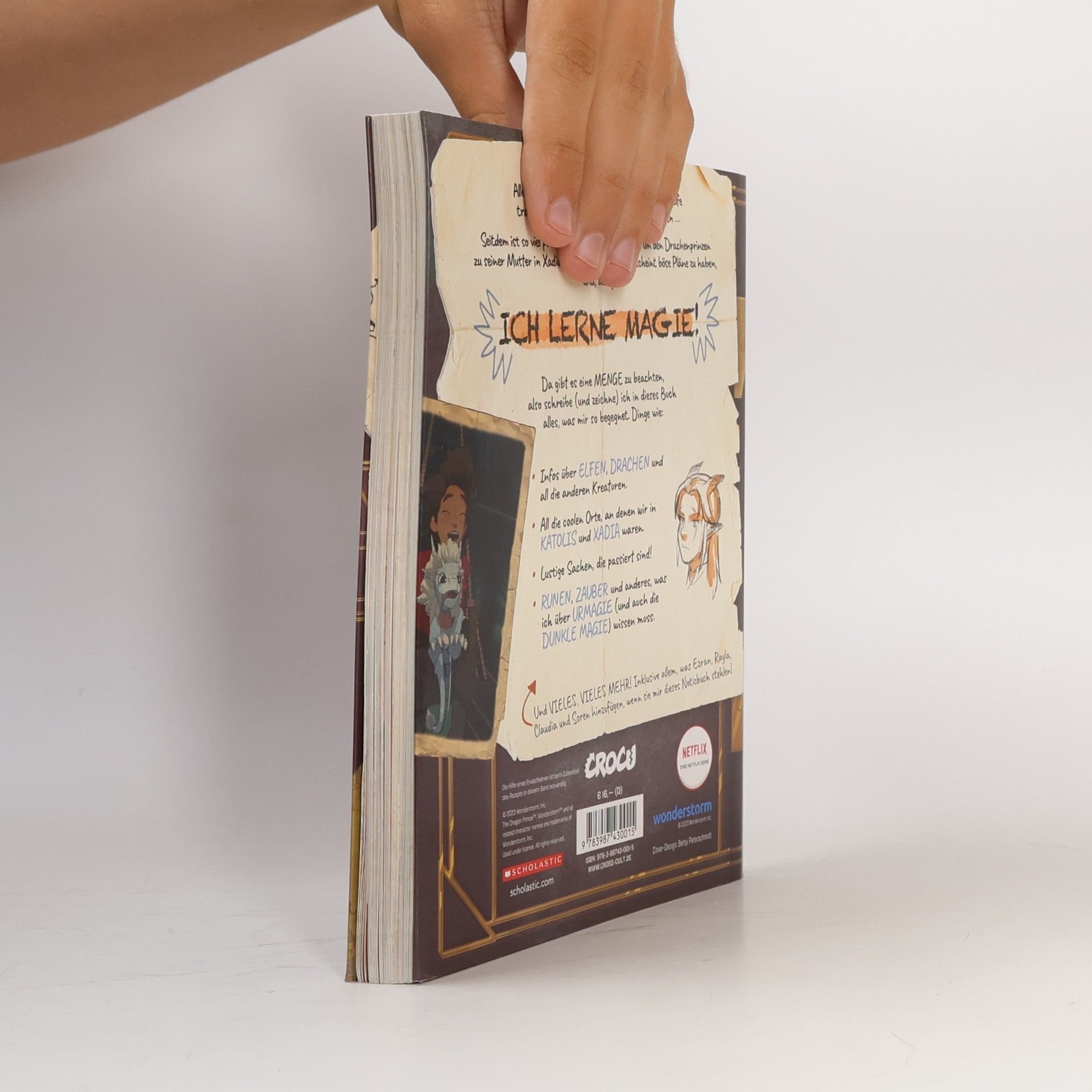 Tracey West Dragon Prince – Der Prinz der Drachen: Callums Buch der Magie