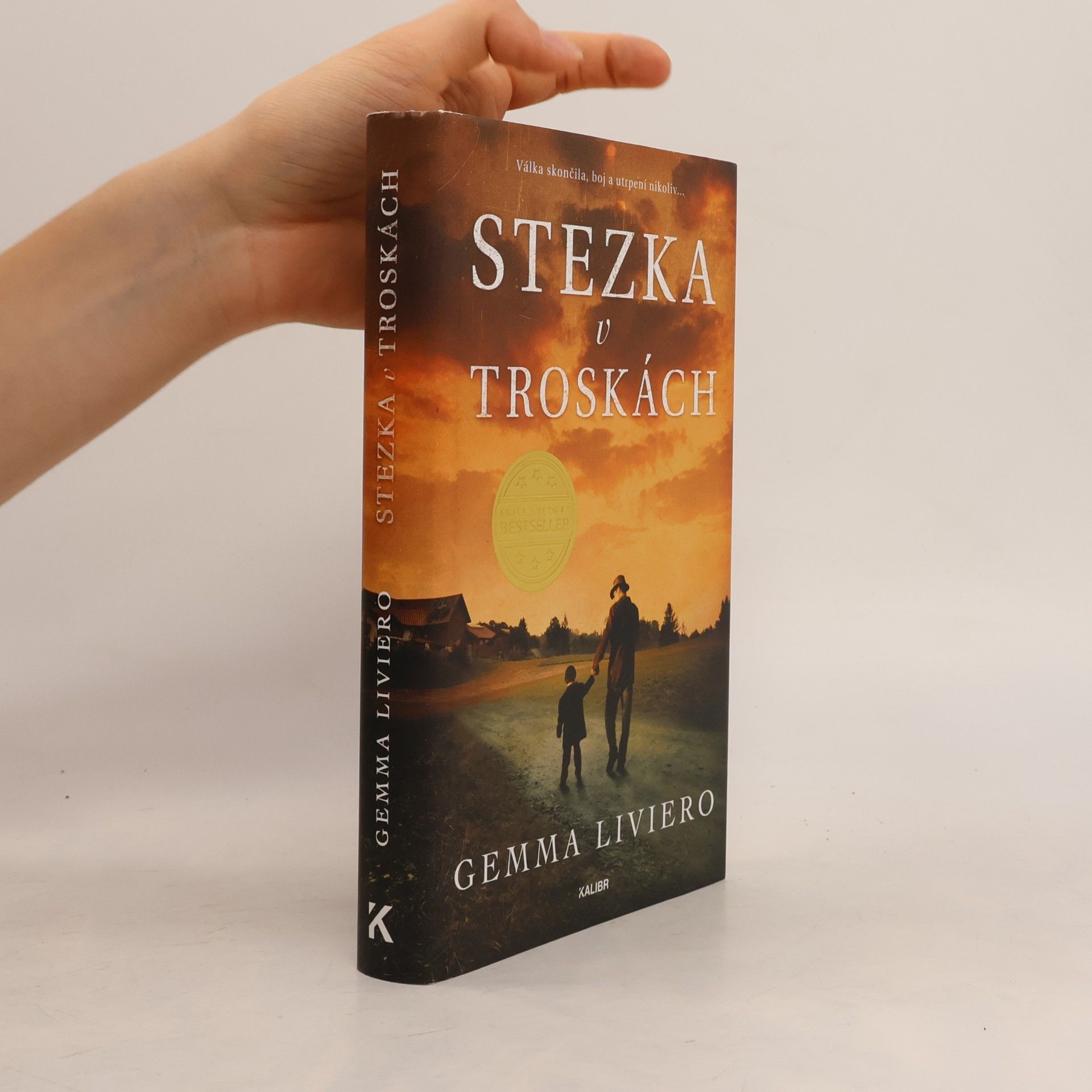 Gemma Liviero Stezka v troskách