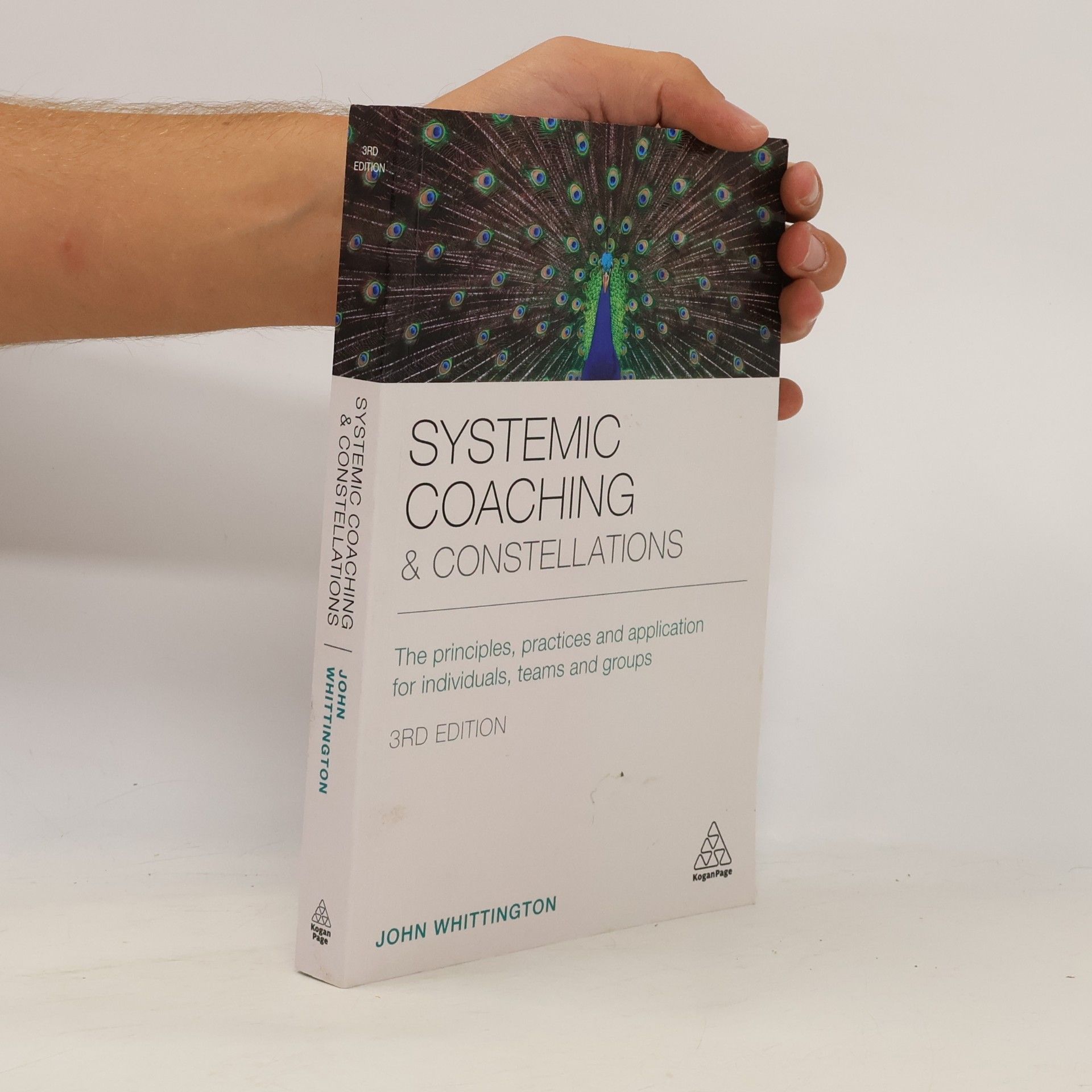 John Whittington Systemic Coaching and Constellations