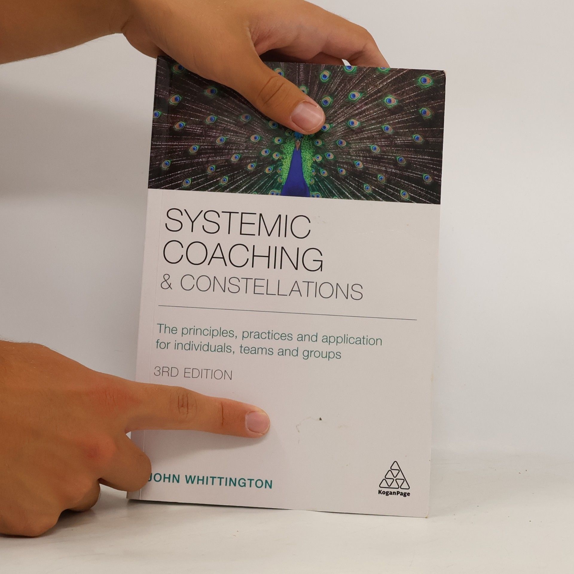 John Whittington Systemic Coaching and Constellations