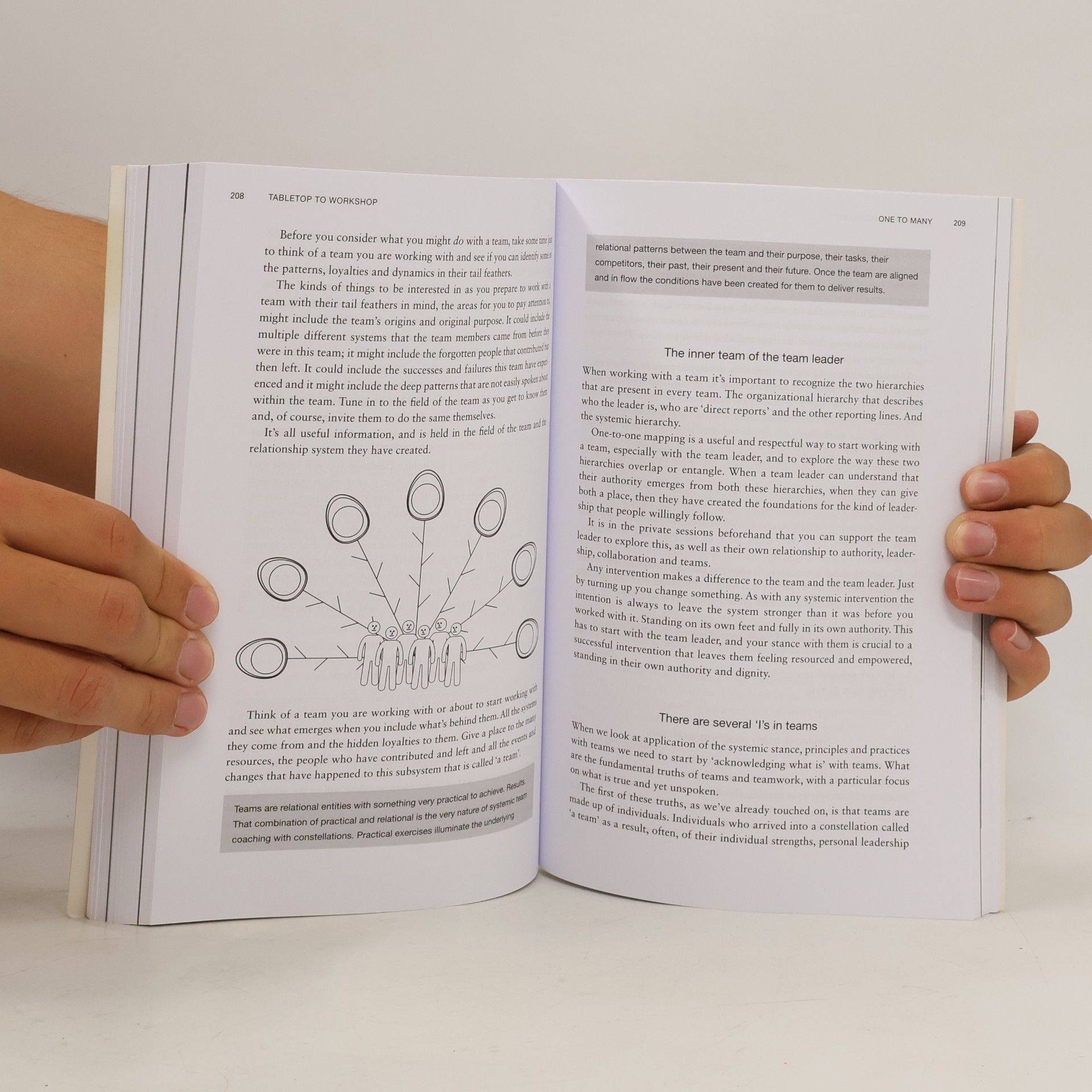 John Whittington Systemic Coaching and Constellations