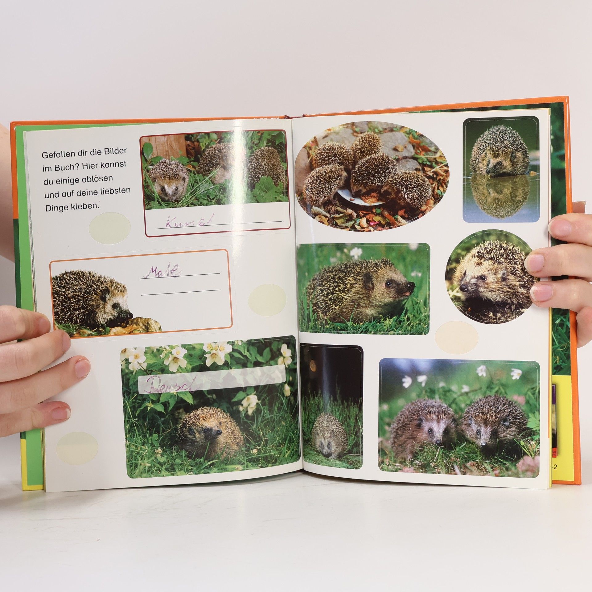 Ulli Seewald Mein kleines Buch der Tiere: Igel