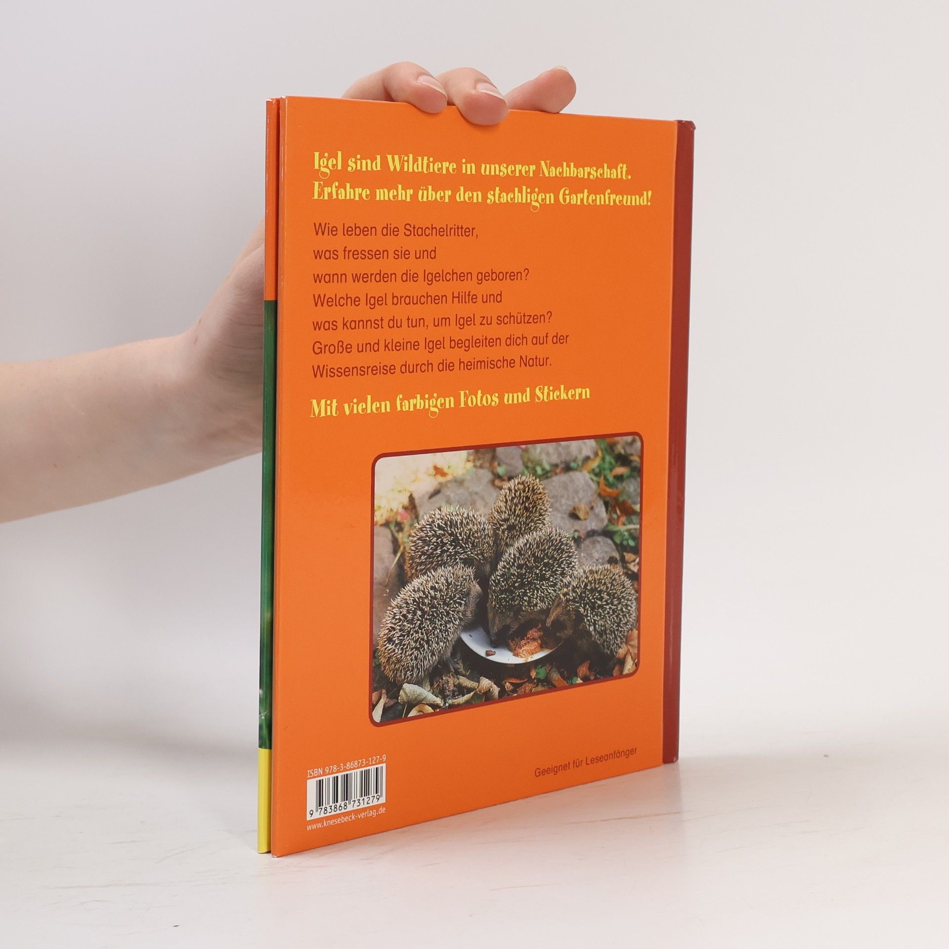 Ulli Seewald Mein kleines Buch der Tiere: Igel