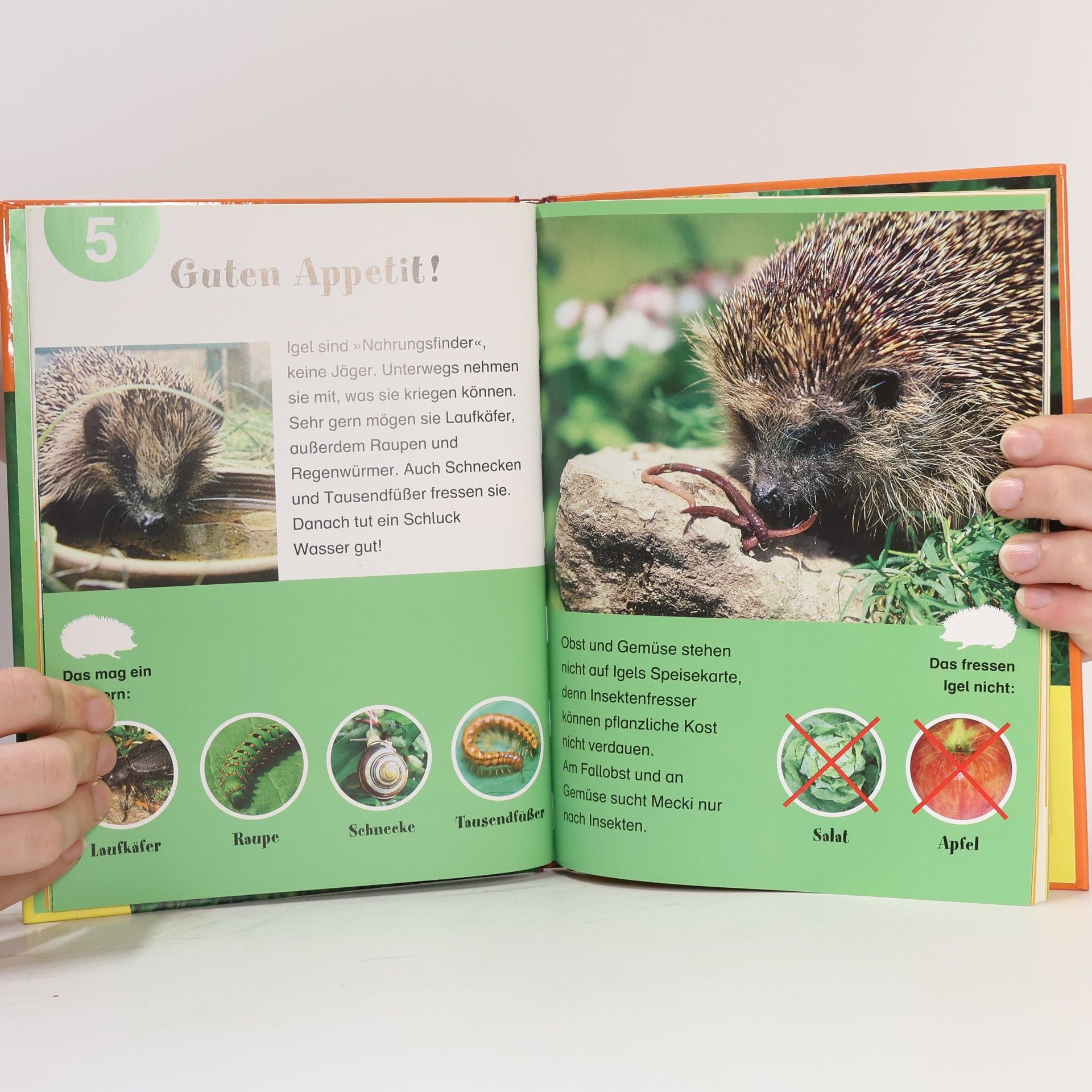 Ulli Seewald Mein kleines Buch der Tiere: Igel