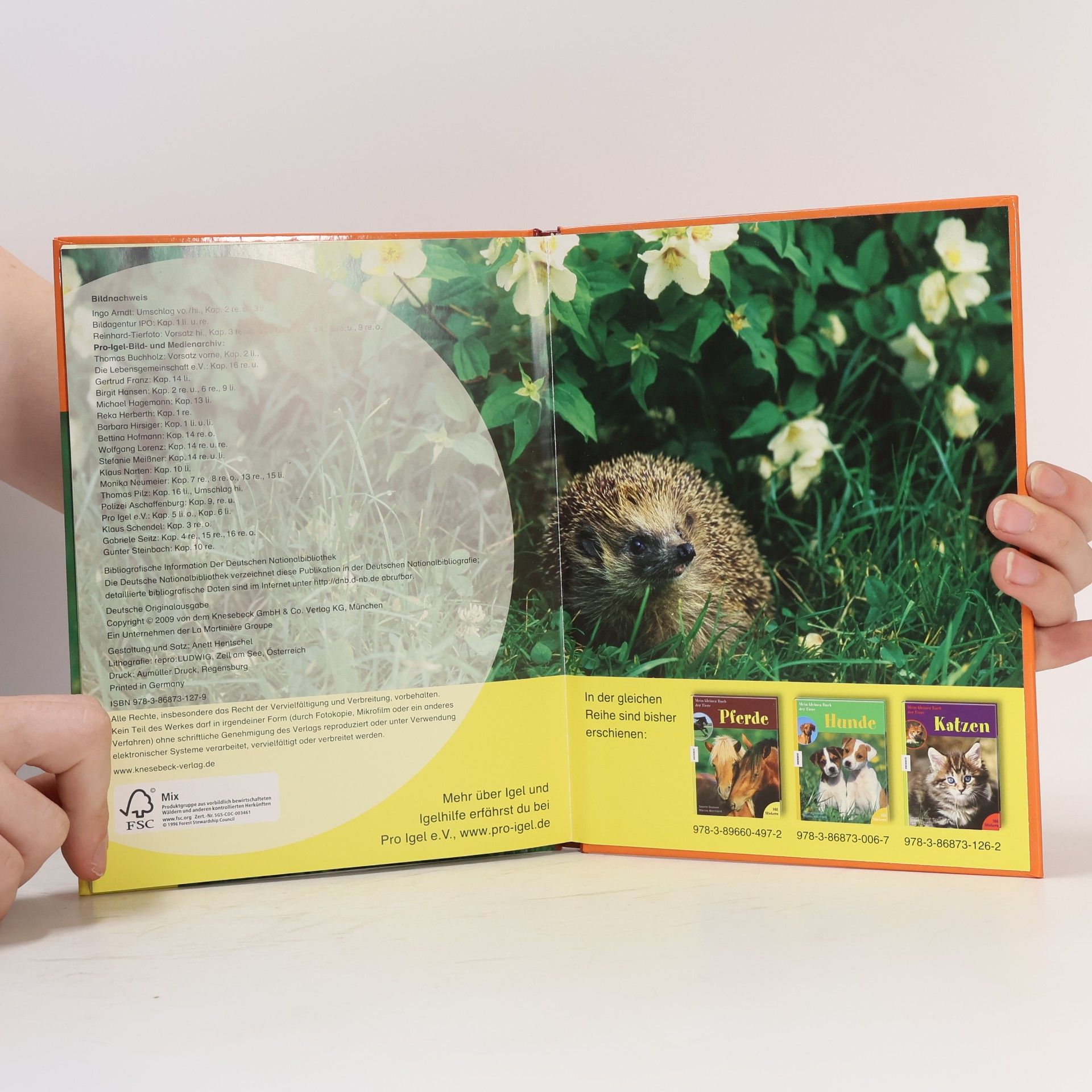 Ulli Seewald Mein kleines Buch der Tiere: Igel
